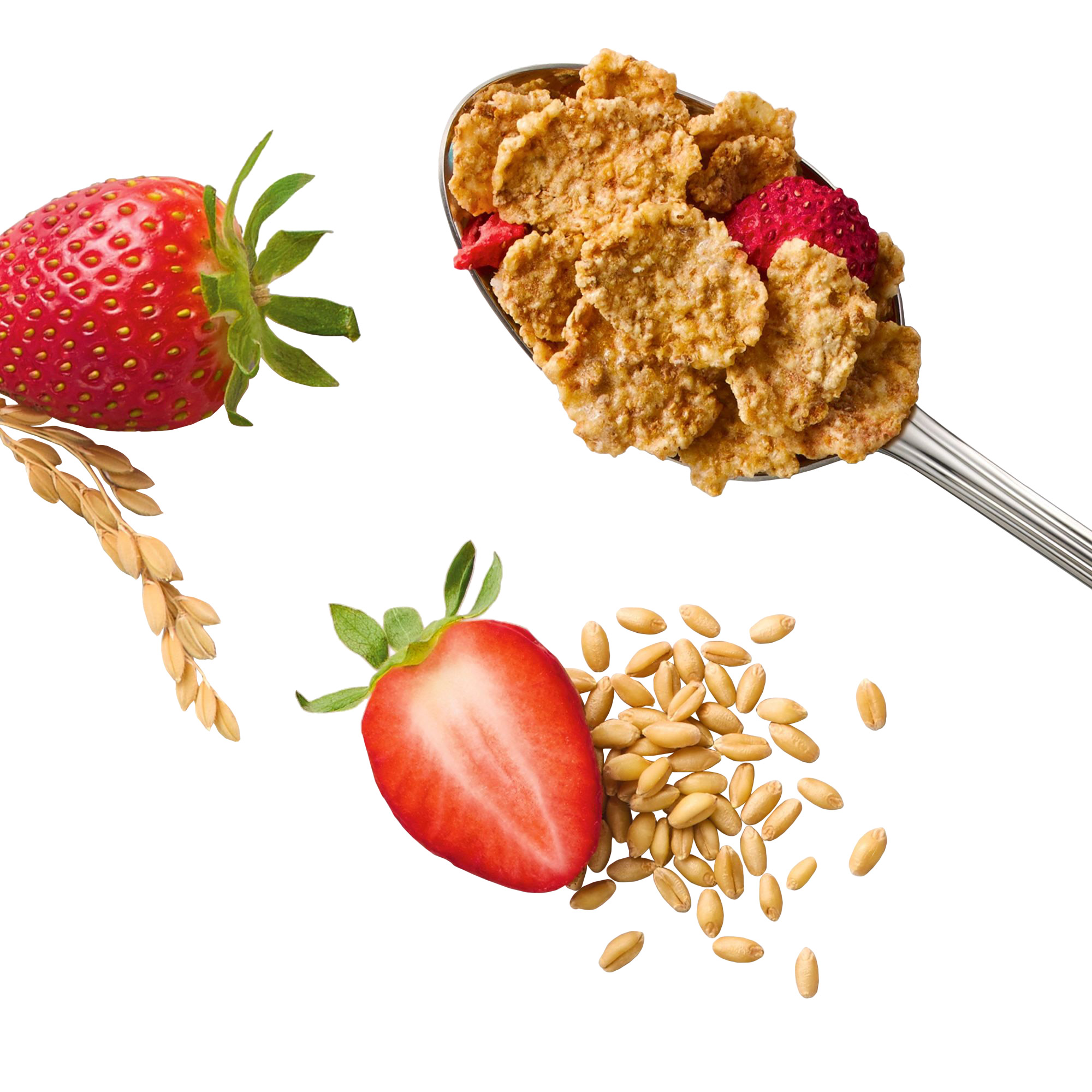 Enlarge Product Preview 9