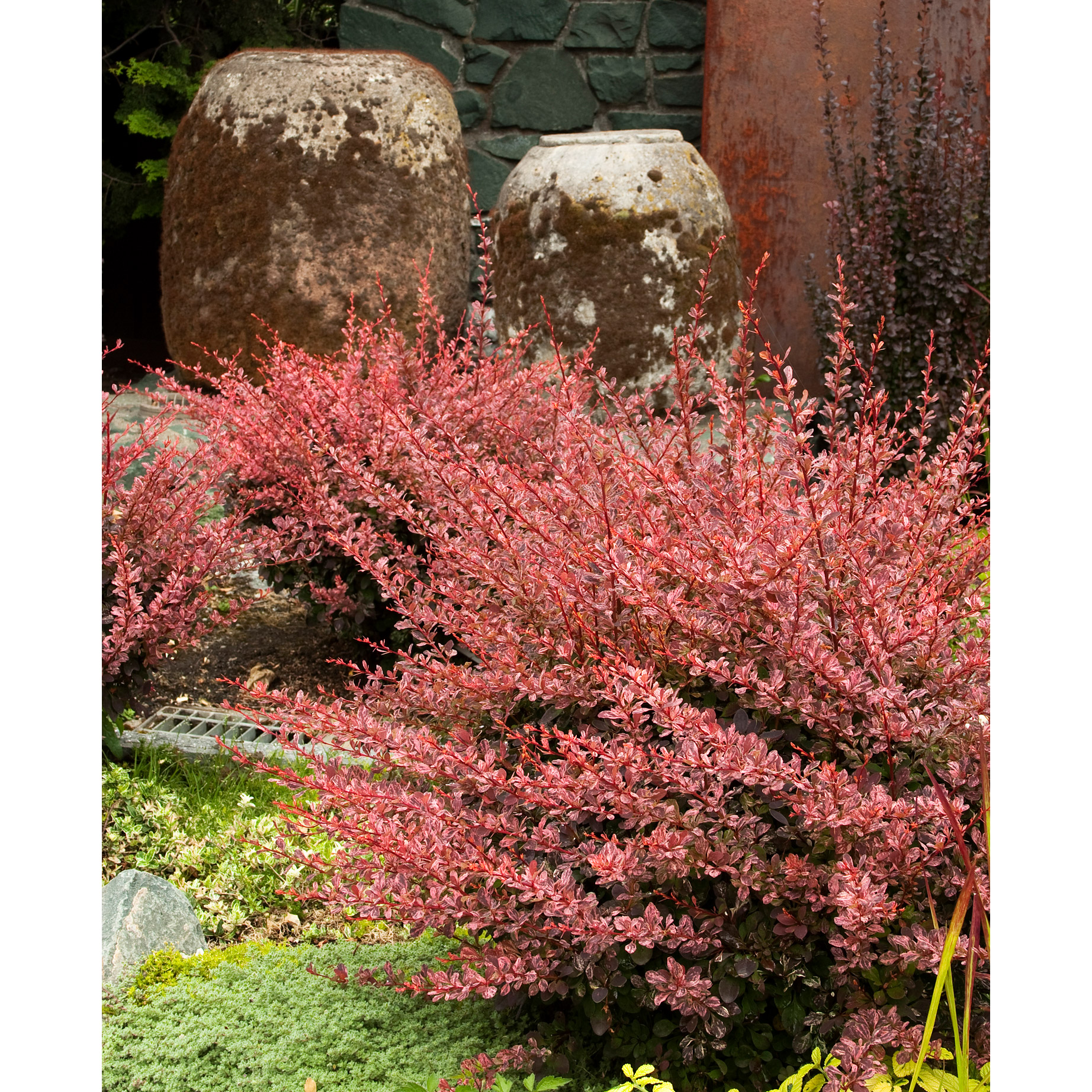 Enlarge Product Preview 3