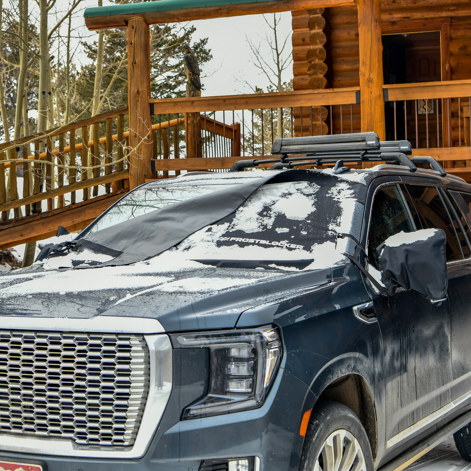 Enlarge Product Preview 8 Successfully Enriched by automation Job.