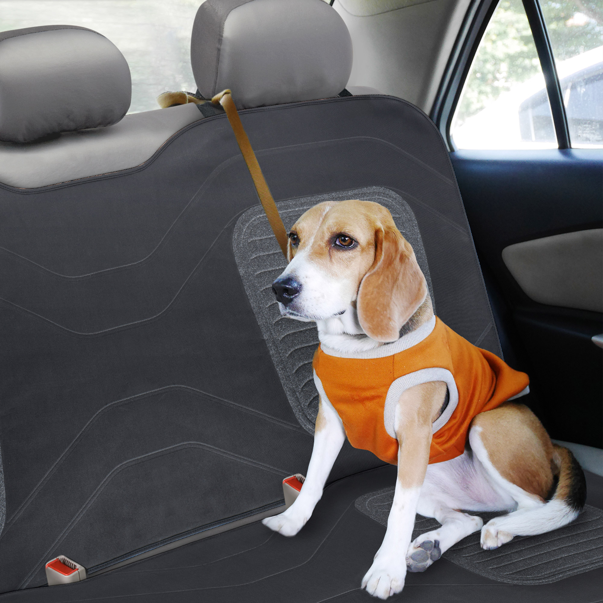 Enlarge Product Preview 3