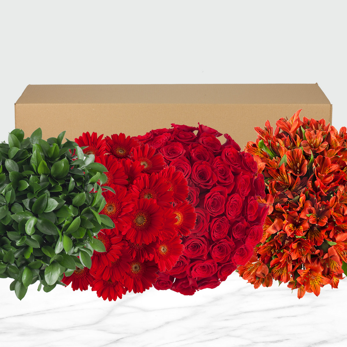 Enlarge Product Preview 2