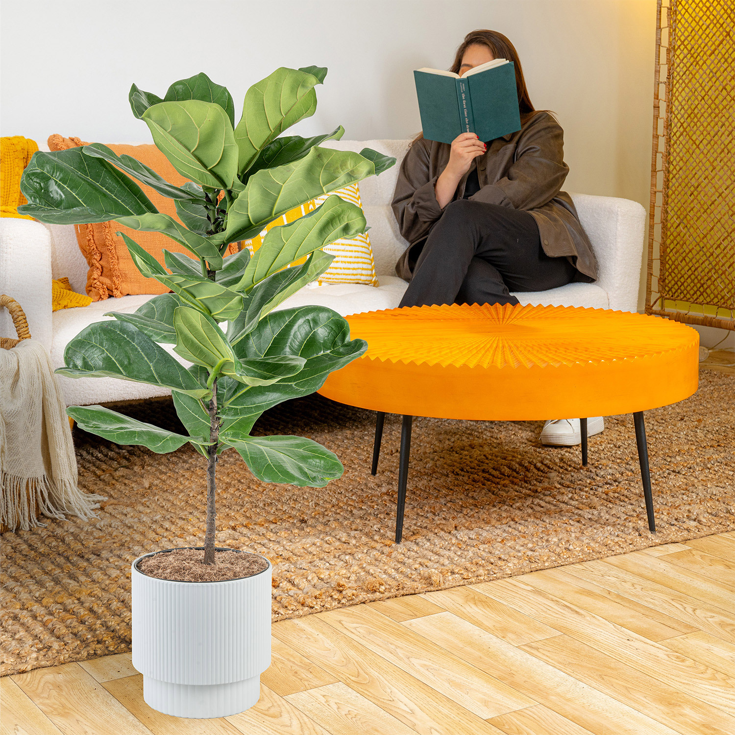 Enlarge Product Preview 3 Successfully Enriched by automation Job.