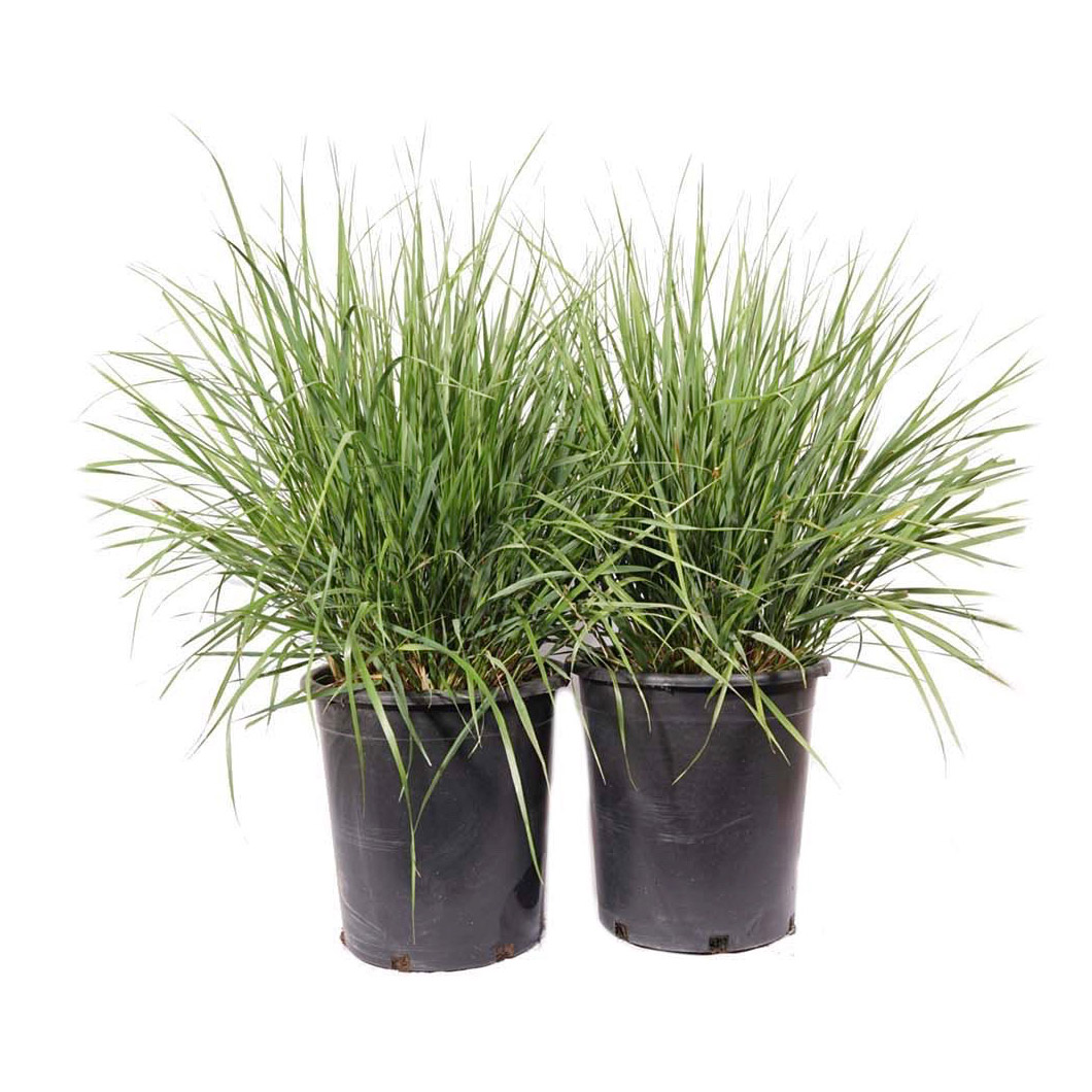 Enlarge Product Preview 2