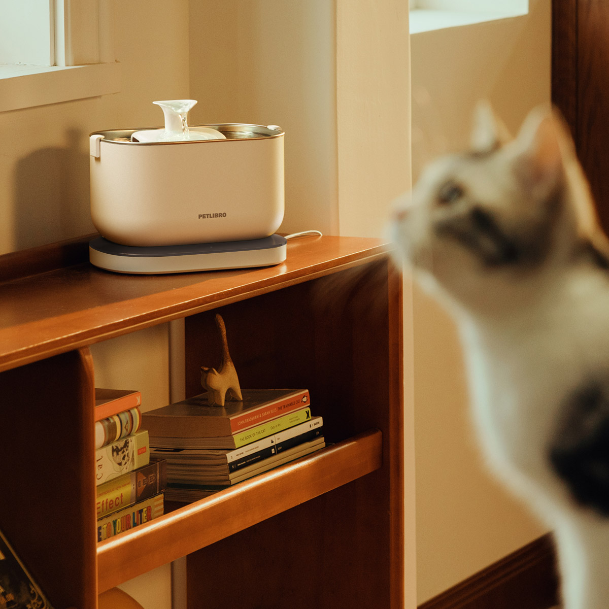 Enlarge Product Preview 2 Successfully Enriched by automation Job.