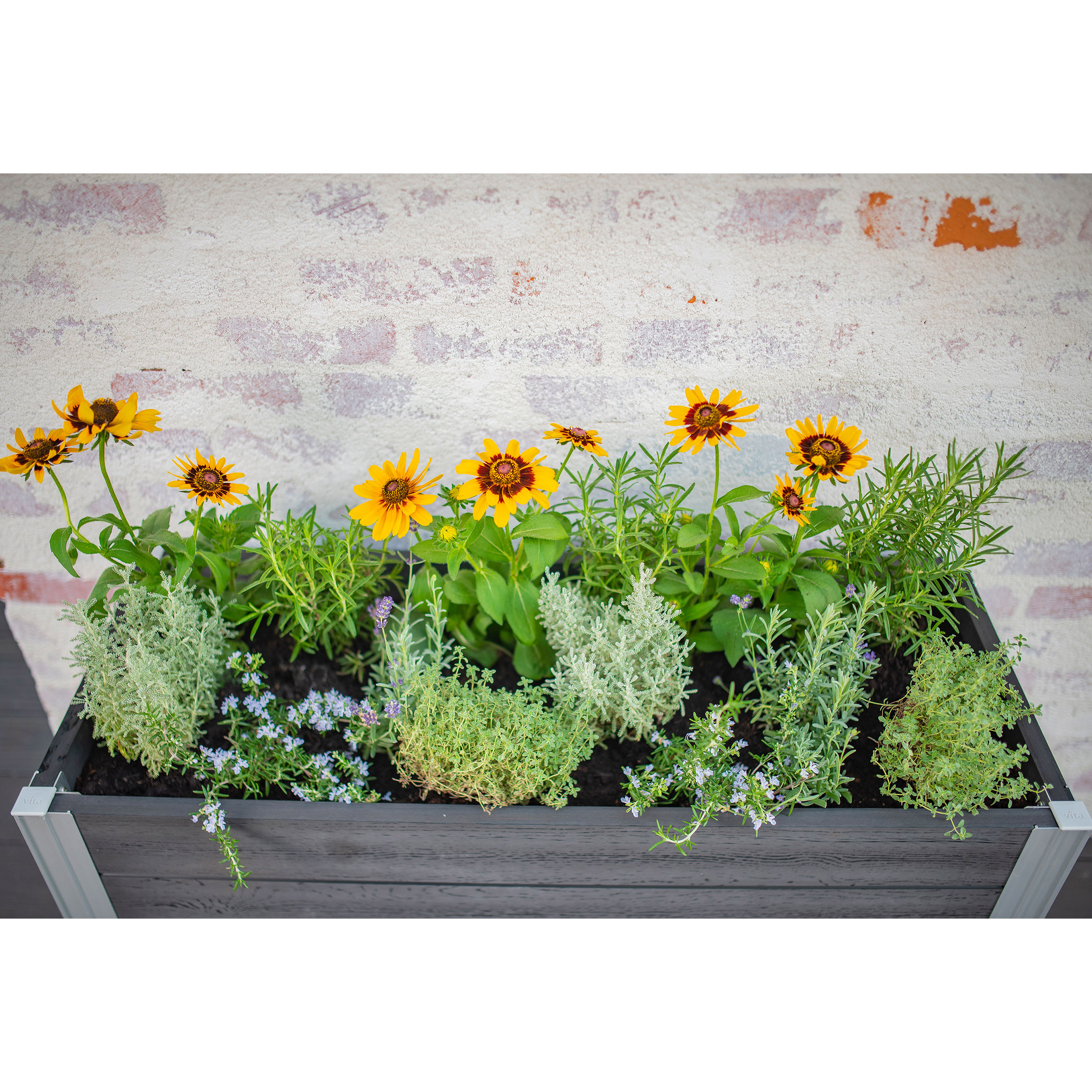 Enlarge Product Preview 3