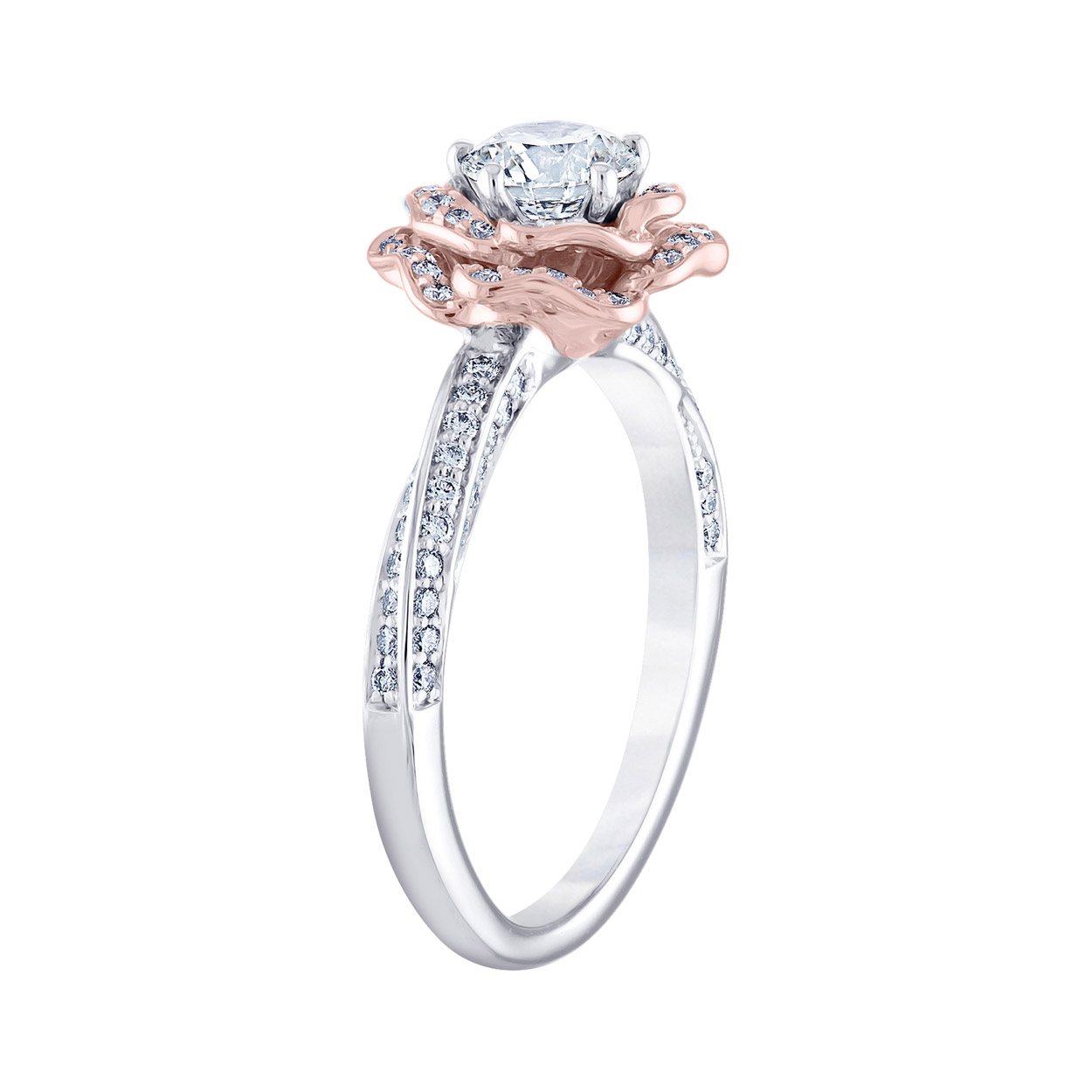 Enlarge Product Preview 2