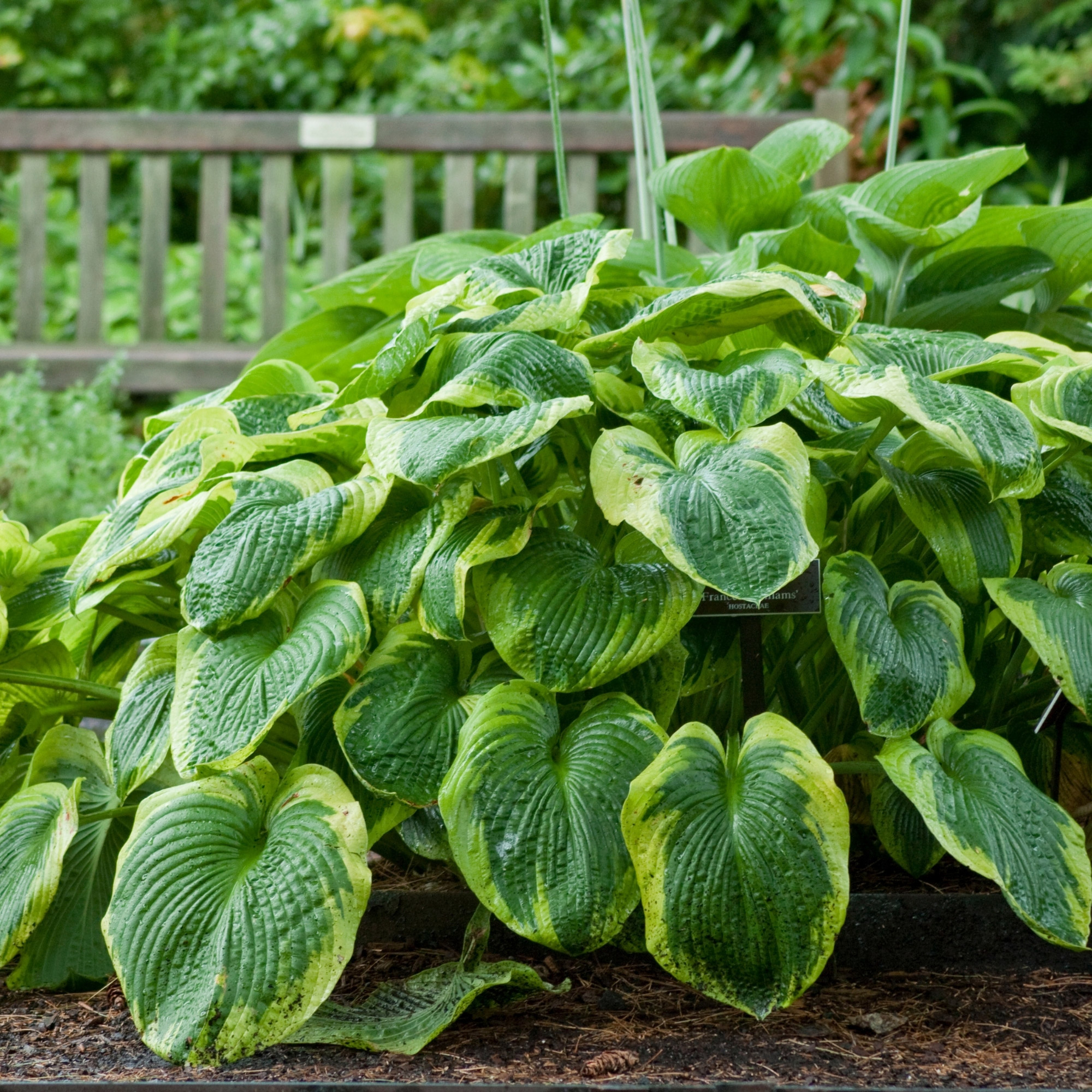 Enlarge Product Preview 17