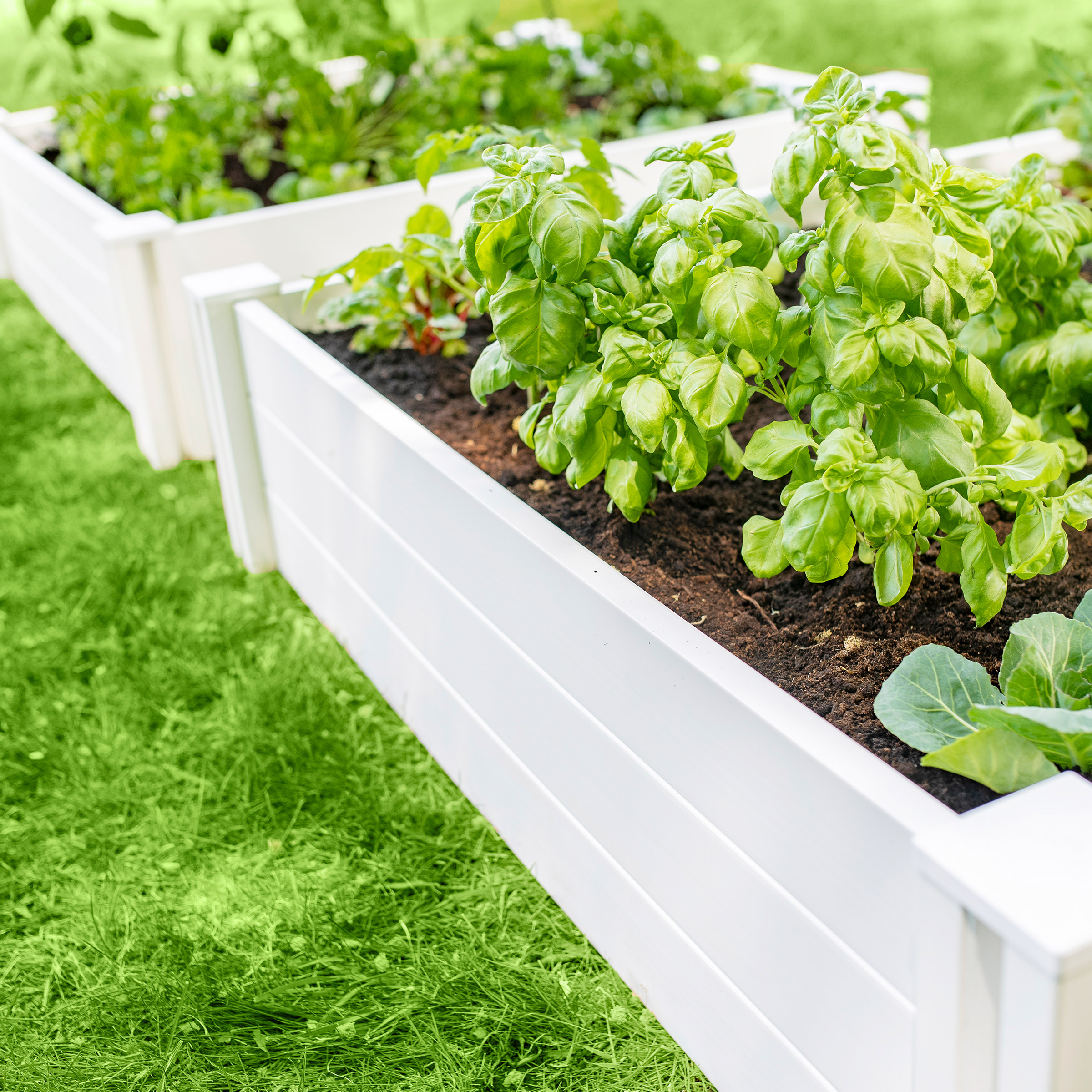 Enlarge Product Preview 5