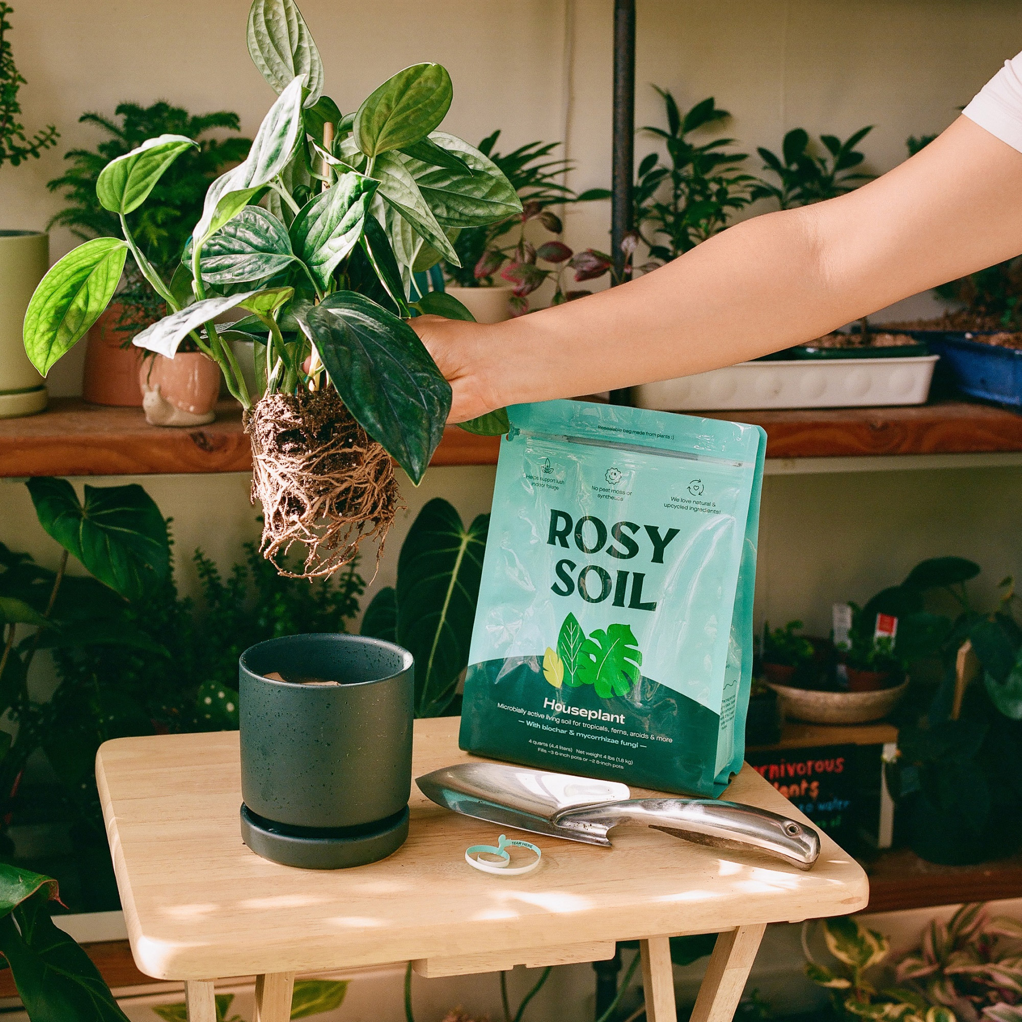 Enlarge Product Preview 3 Successfully Enriched by automation Job.