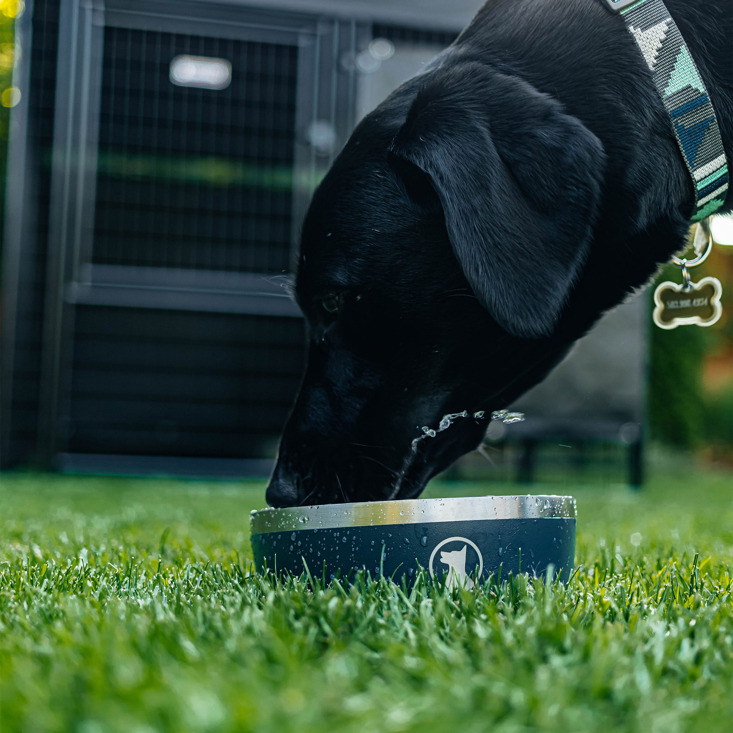 Enlarge Product Preview 5 Successfully Enriched by automation Job.