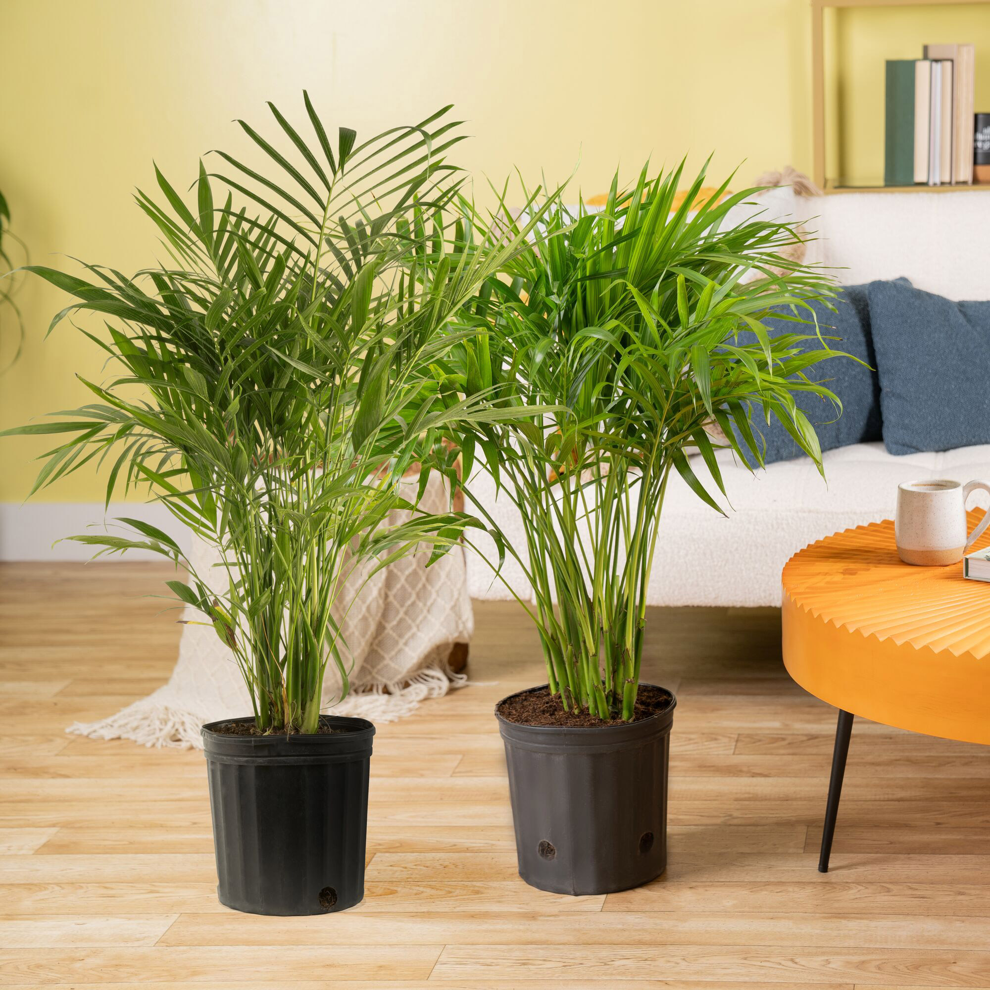 Enlarge Product Preview 4 Successfully Enriched by automation Job.