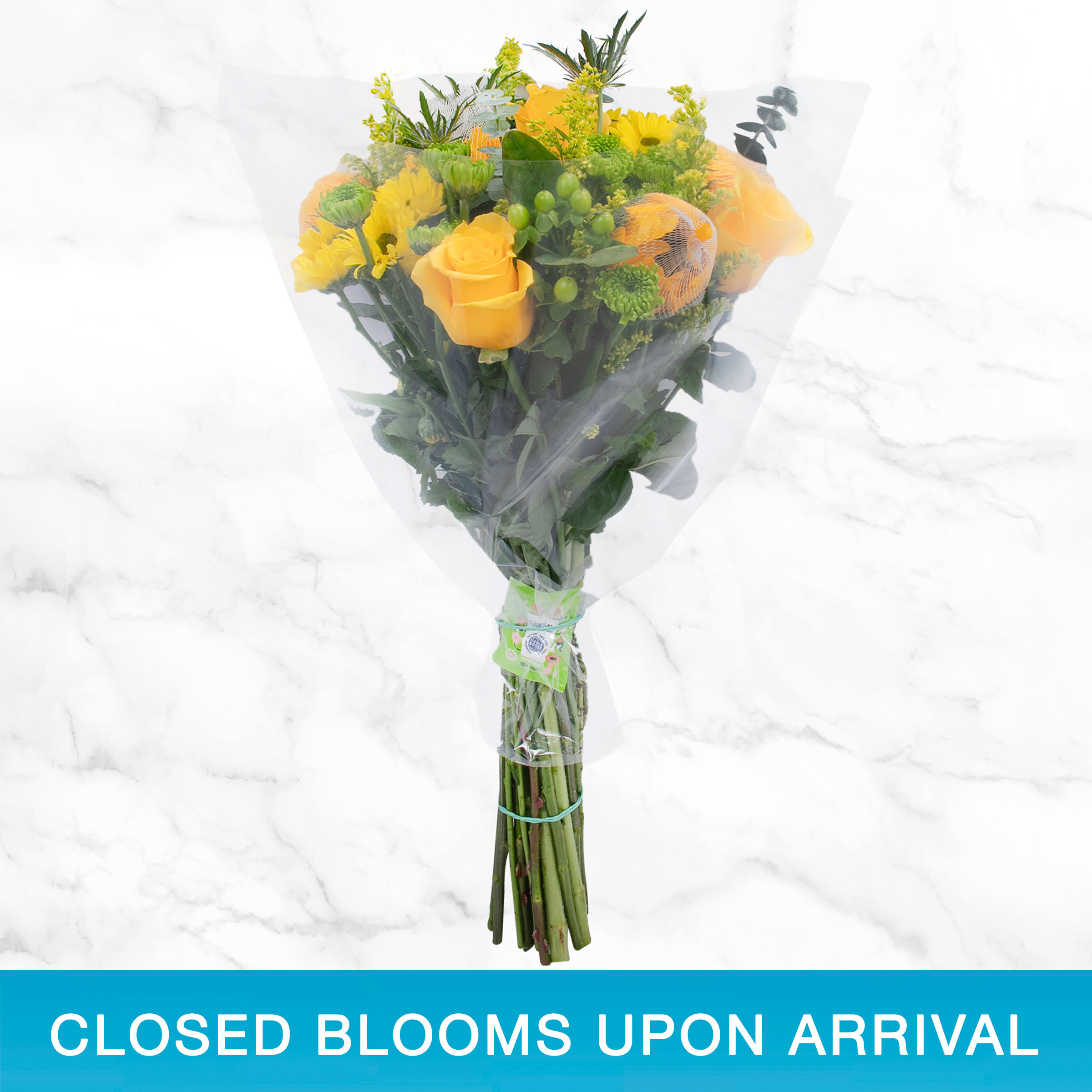 Enlarge Product Preview 2