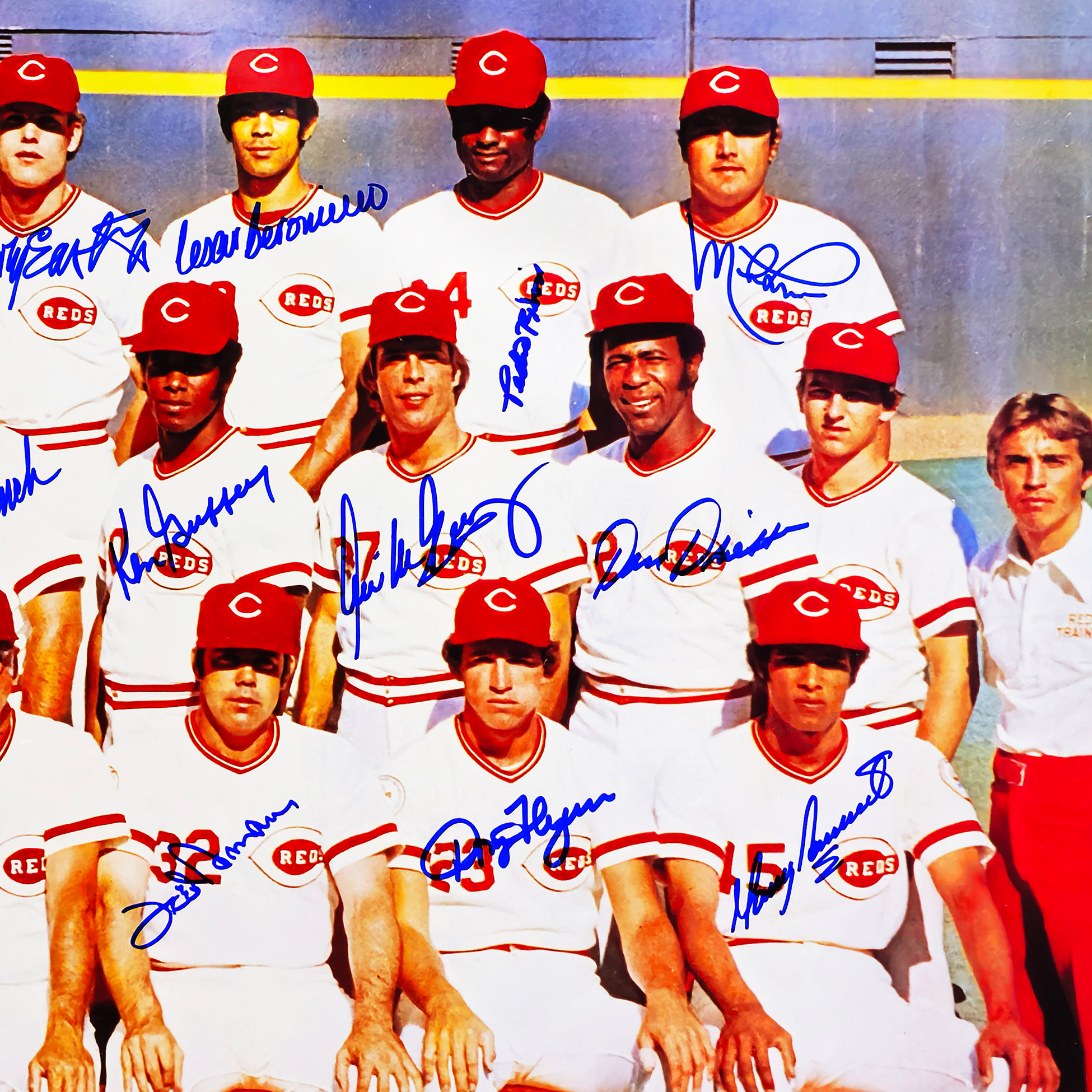 Enlarge Product Preview 5 Successfully Enriched by automation Job.