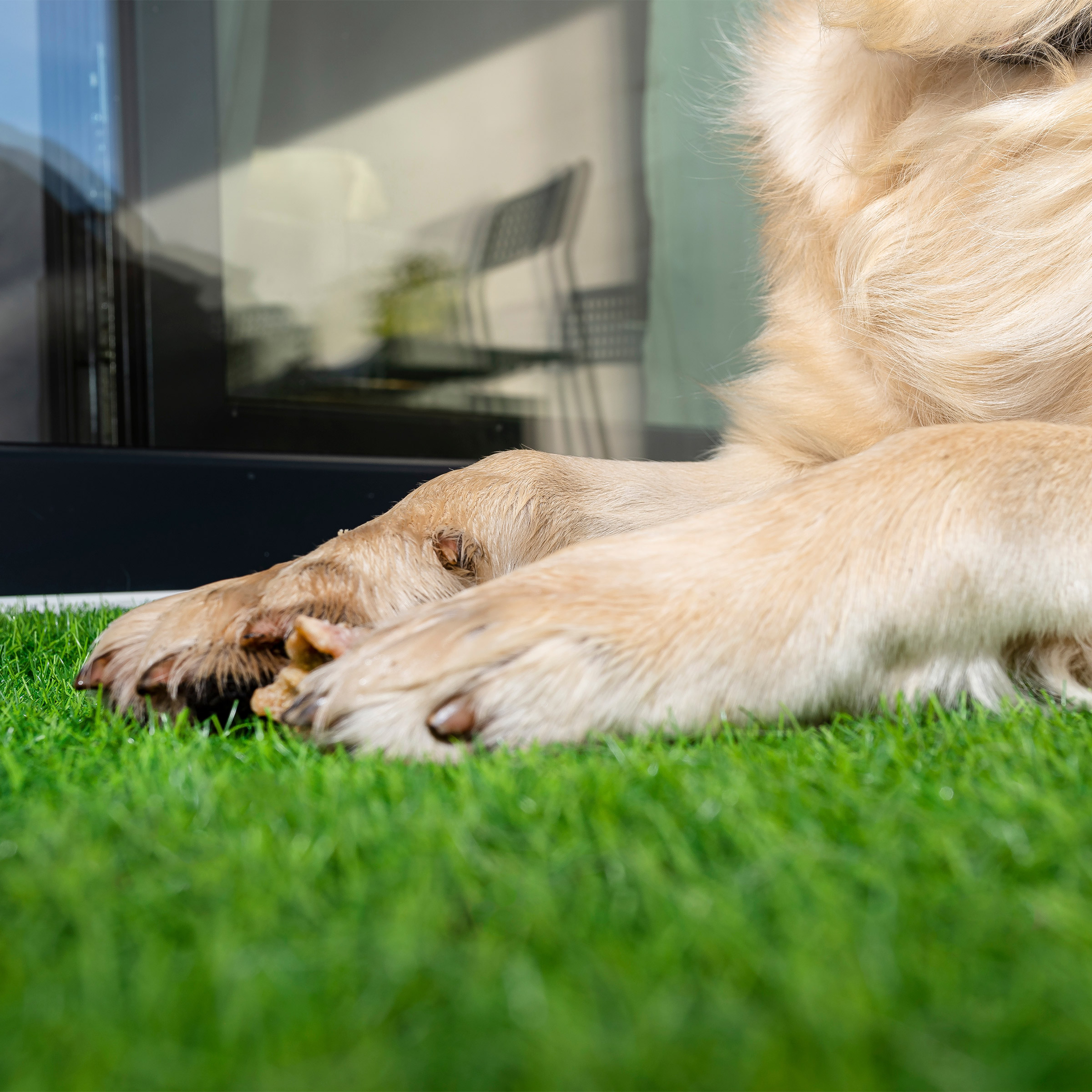 Enlarge Product Preview 2 Successfully Enriched by automation Job.