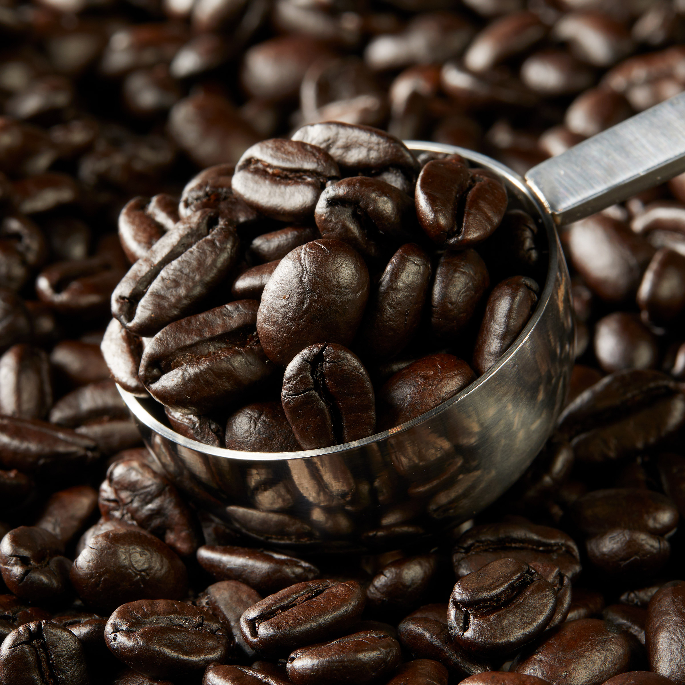 Enlarge Product Preview 6