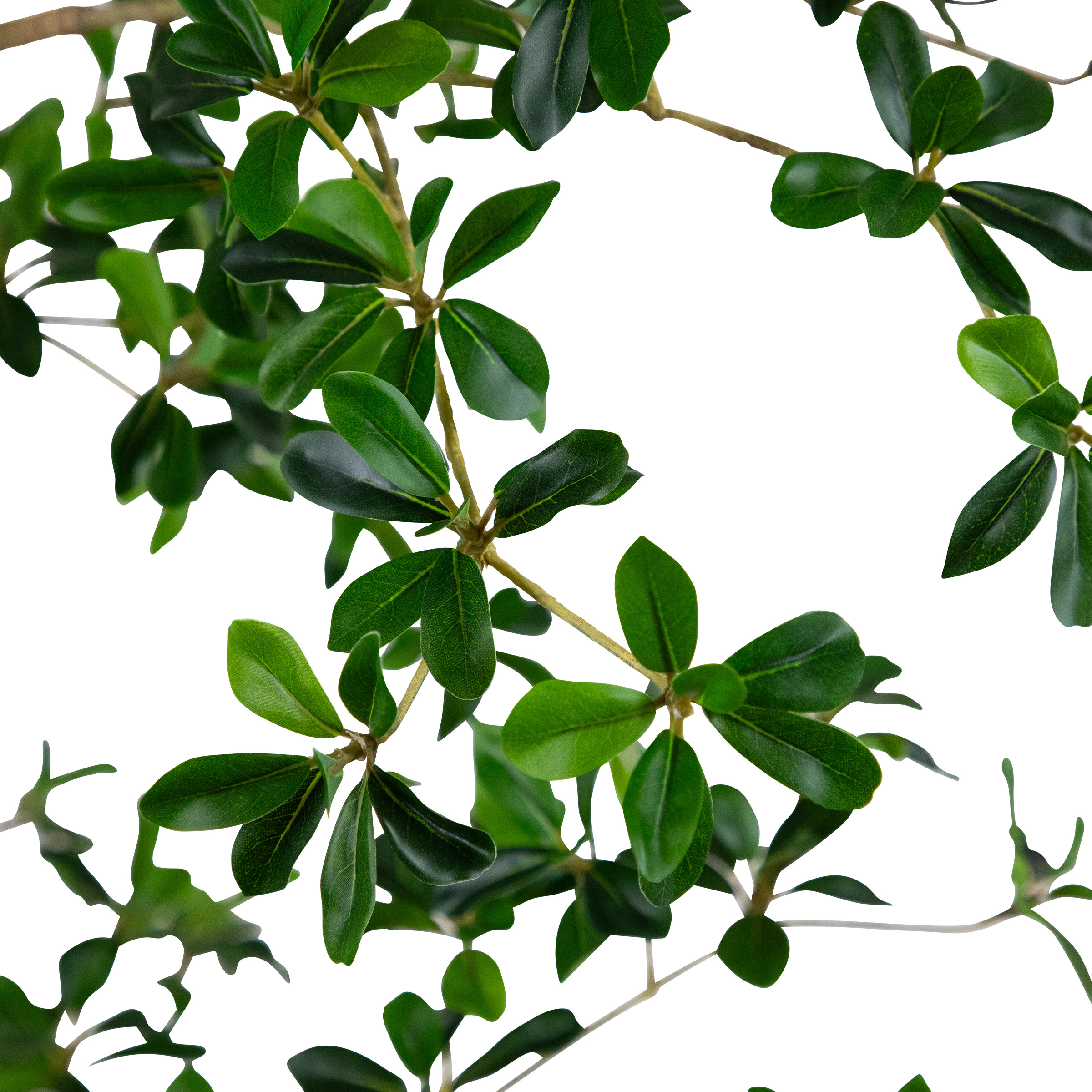 Enlarge Product Preview 3 Successfully Enriched by automation Job.