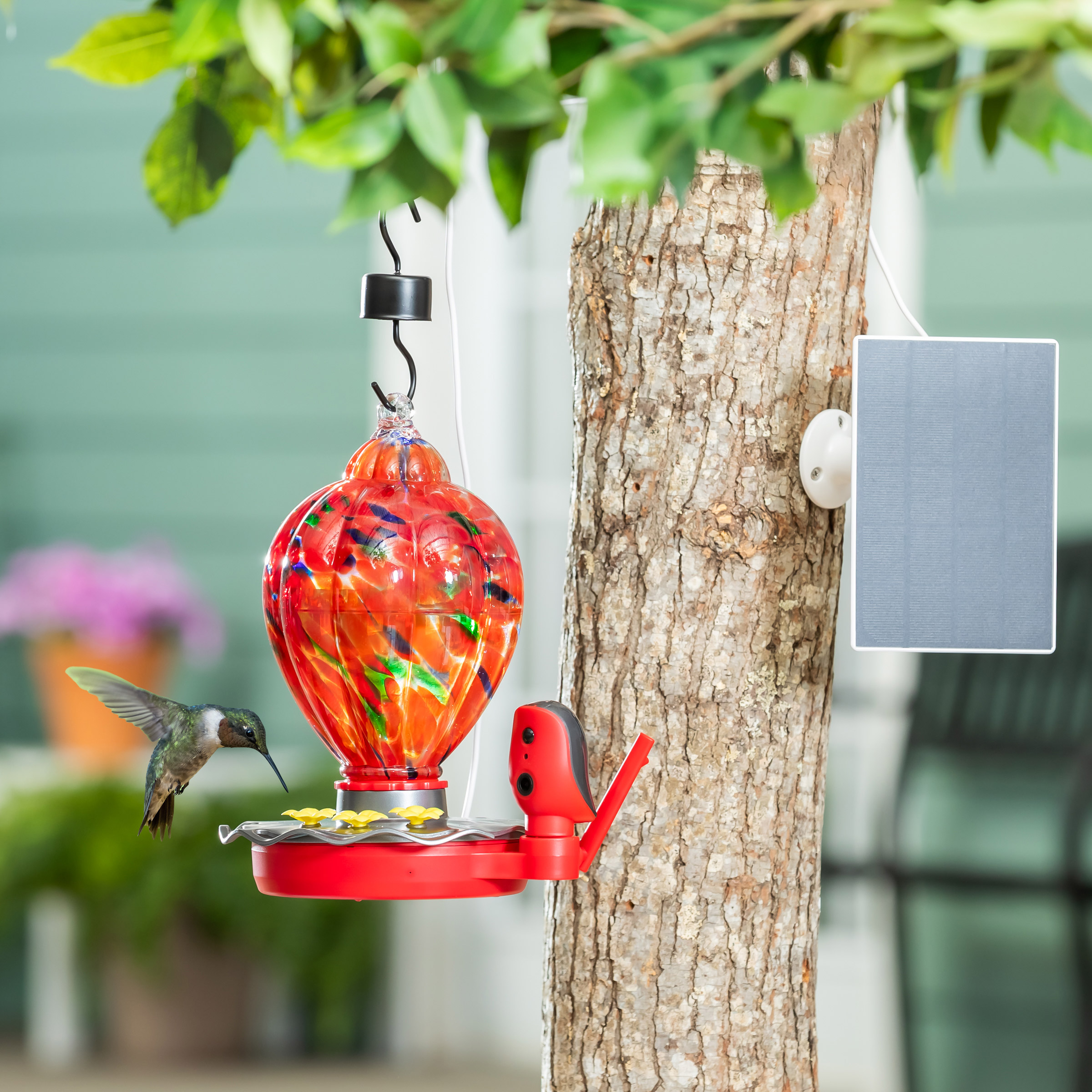 Enlarge Product Preview 2 Successfully Enriched by automation Job.