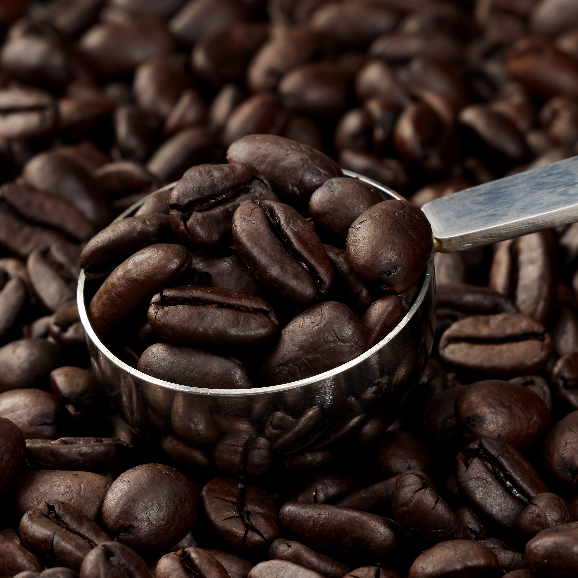 Enlarge Product Preview 6