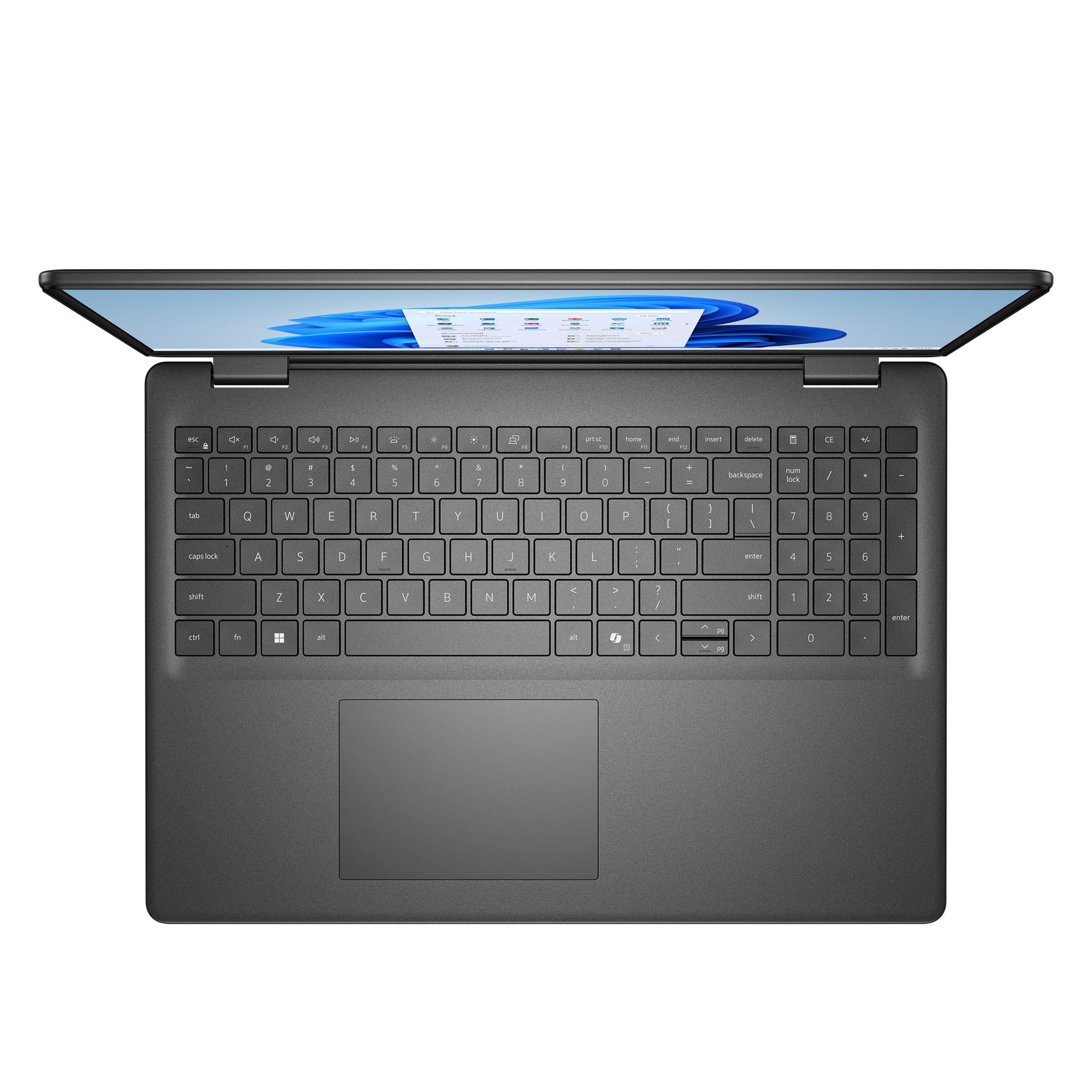 Enlarge Product Preview 4 Successfully Enriched by automation Job.