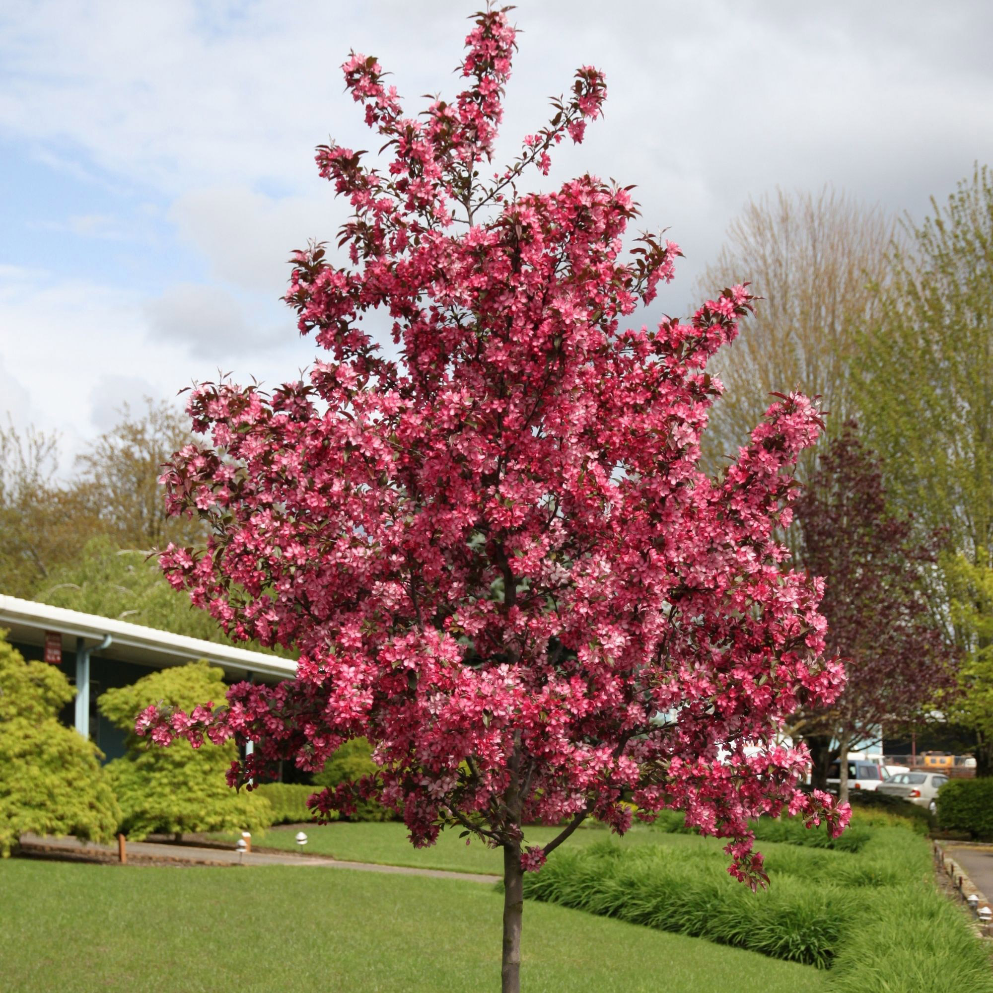 Enlarge Product Preview 6