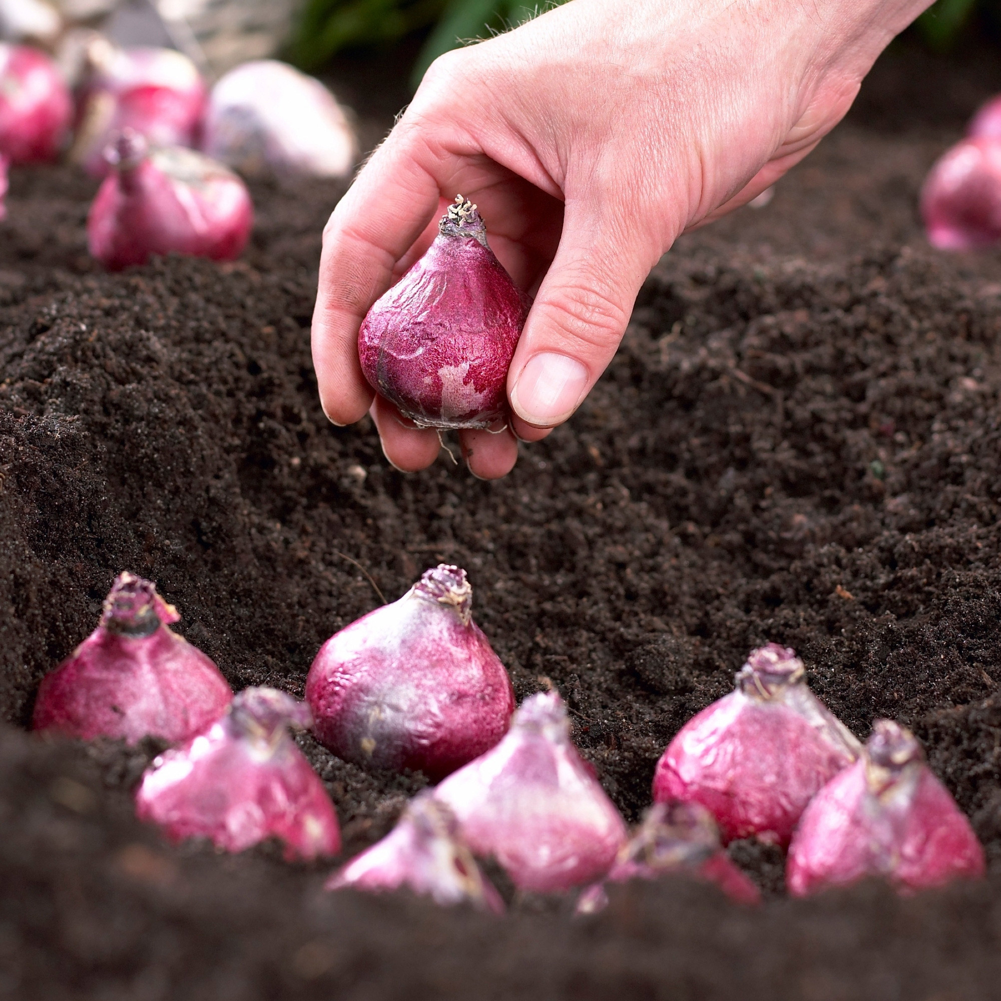 Enlarge Product Preview 7