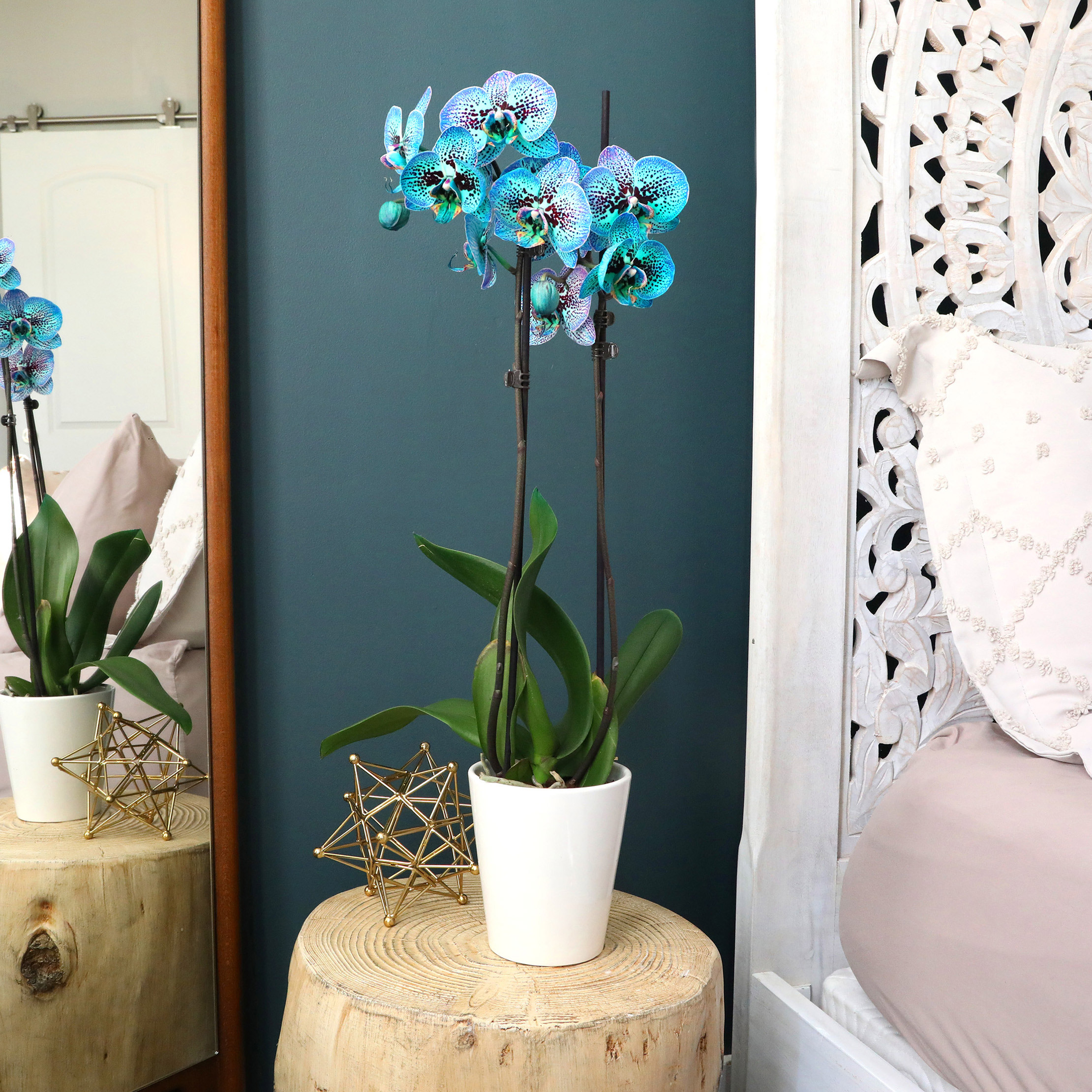 Enlarge Product Preview 4 Successfully Enriched by automation Job.