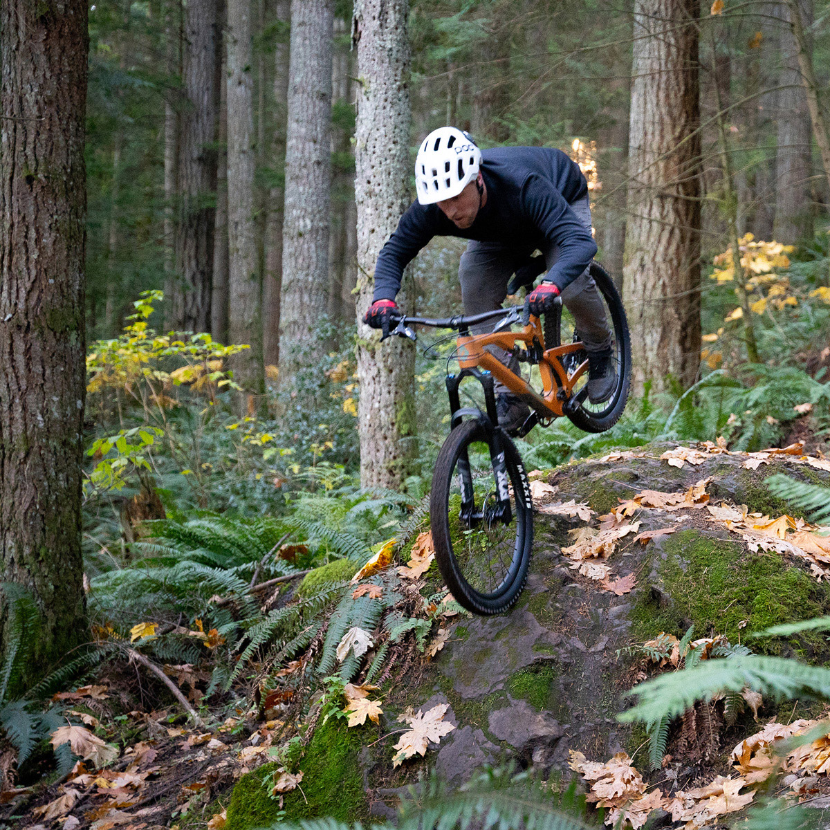 Enlarge Product Preview 8