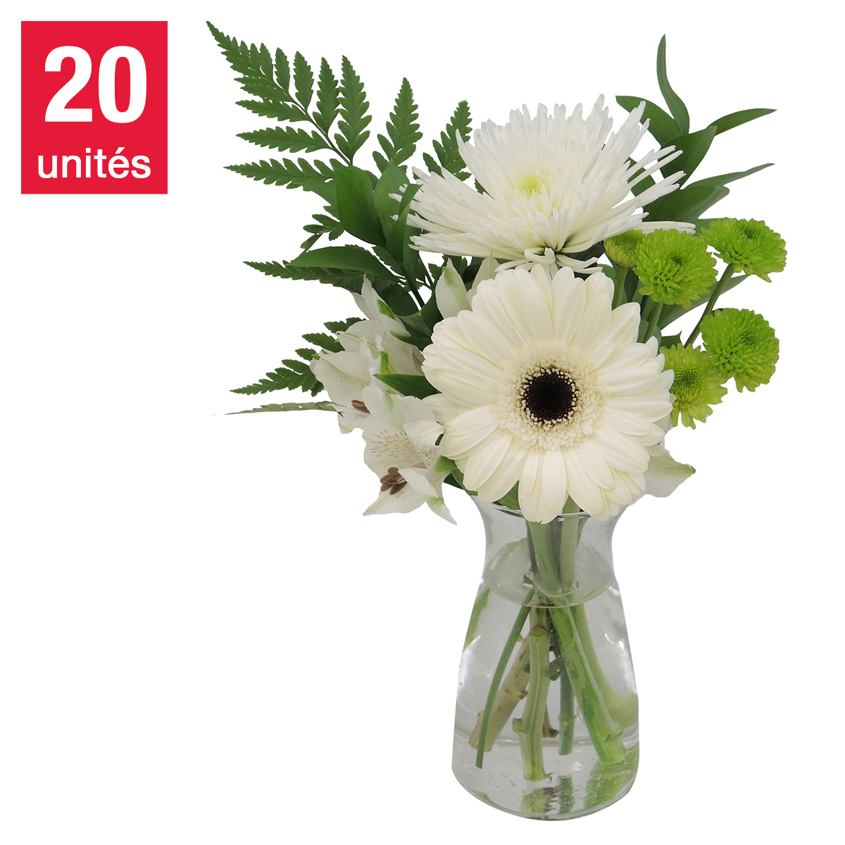 Euro Garden - Ensemble de 20 mini bouquets