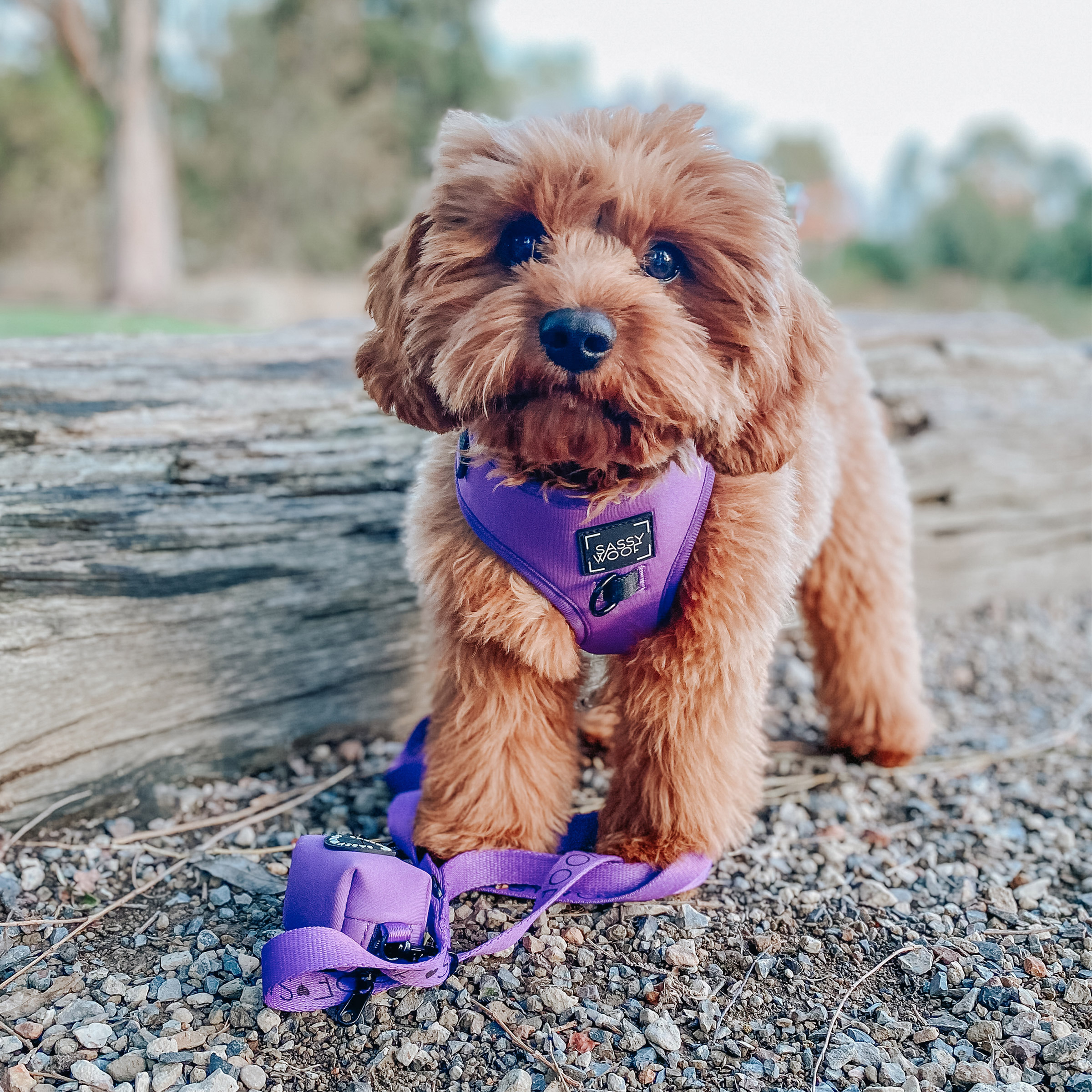 Enlarge Product Preview 8