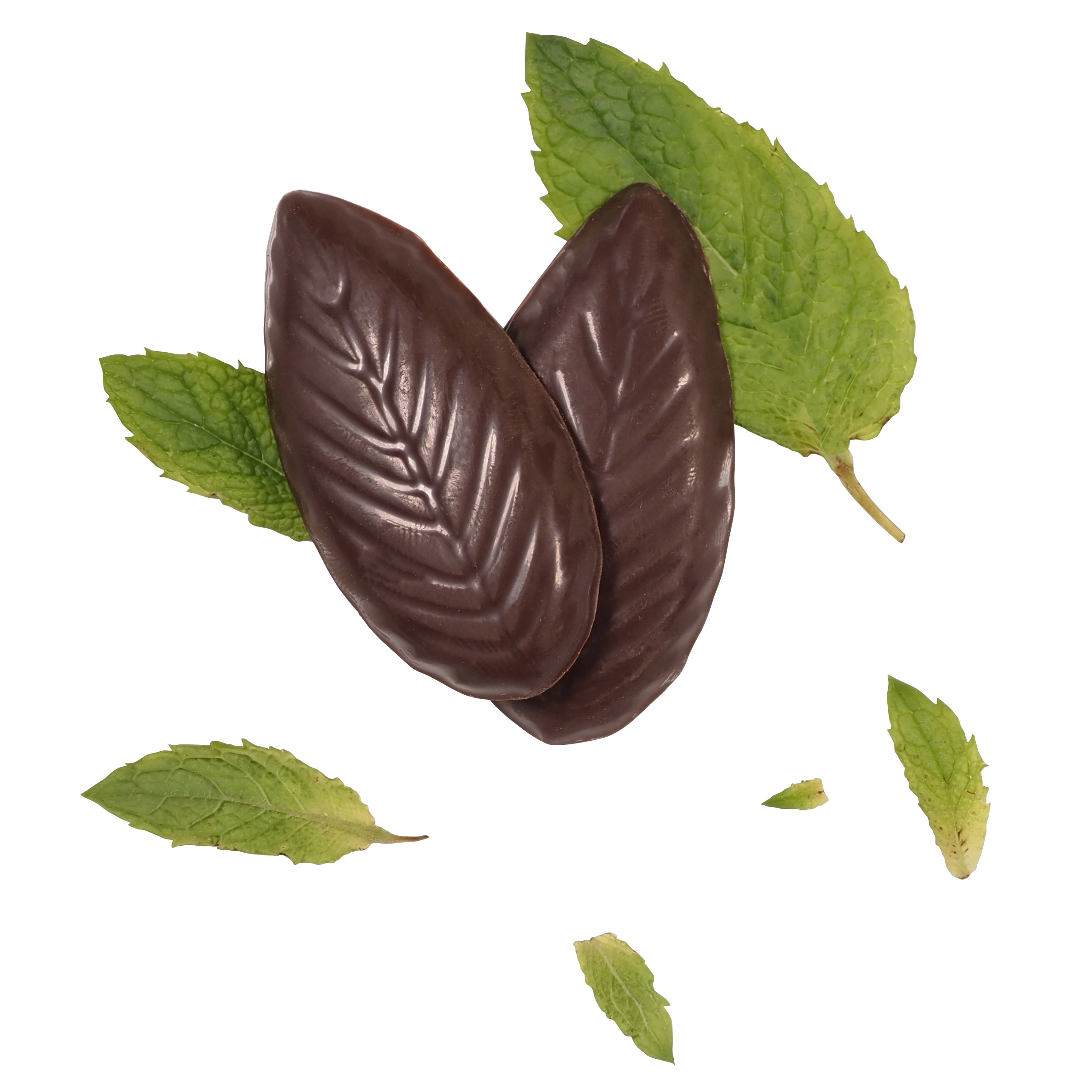 Enlarge Product Preview 3 Successfully Enriched by automation Job.