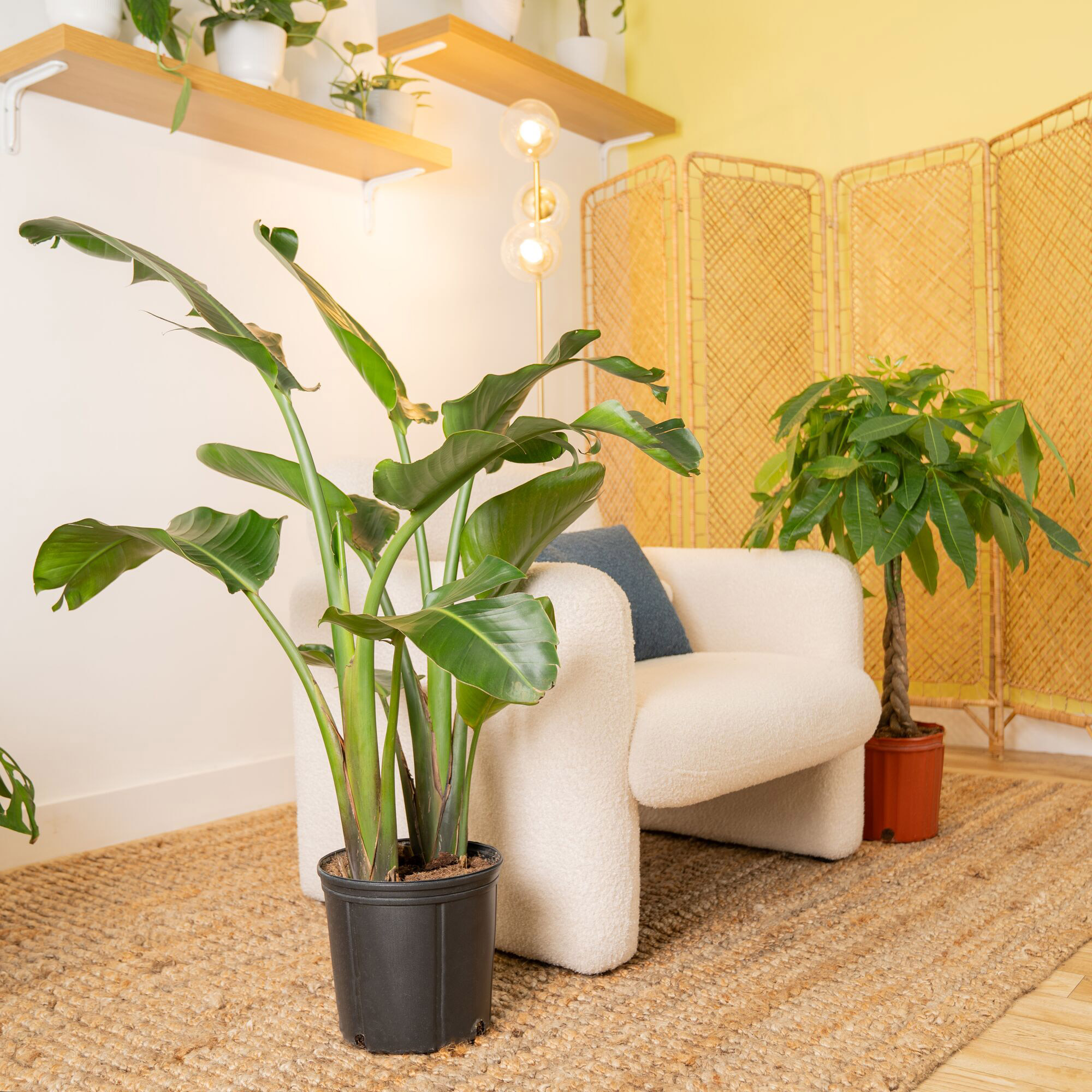 Enlarge Product Preview 5 Successfully Enriched by automation Job.