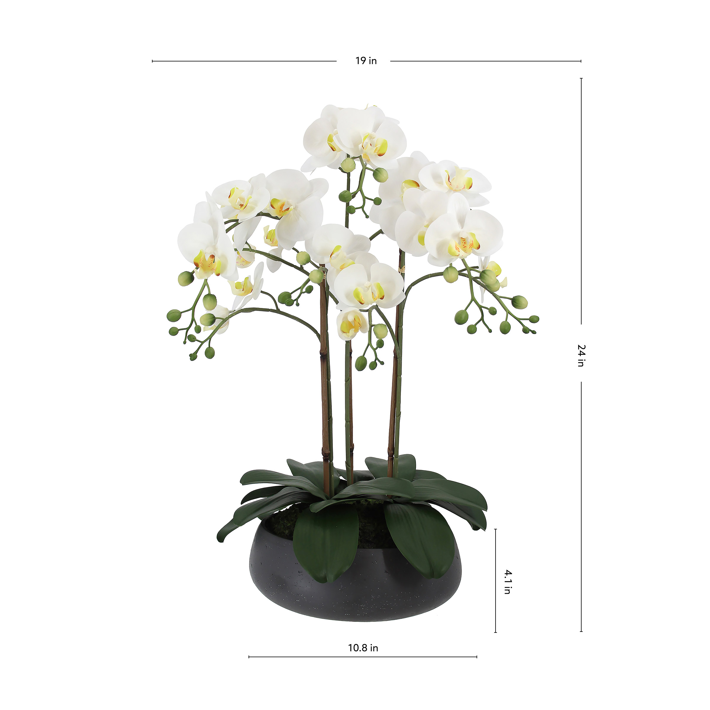 Enlarge Product Preview 3