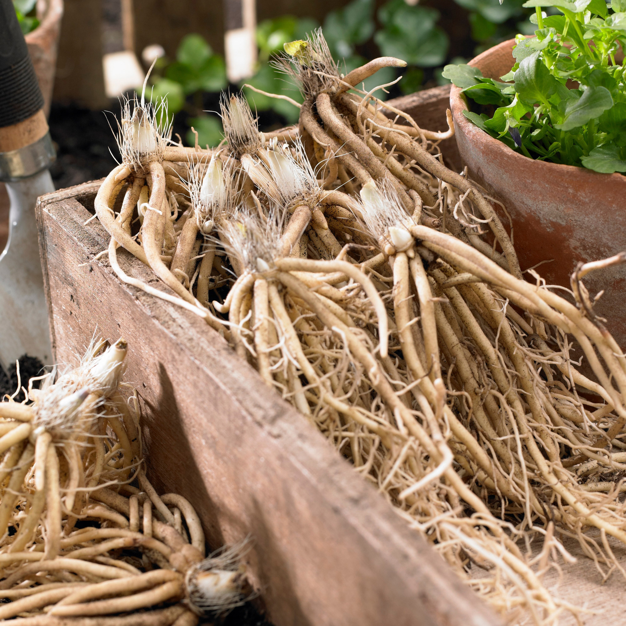 Enlarge Product Preview 21