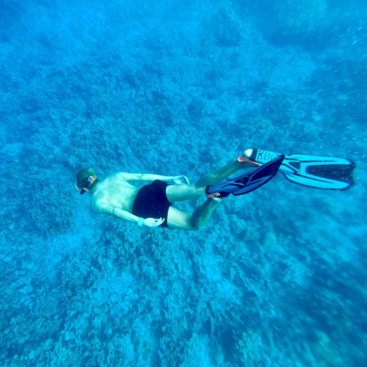 Enlarge Product Preview 6