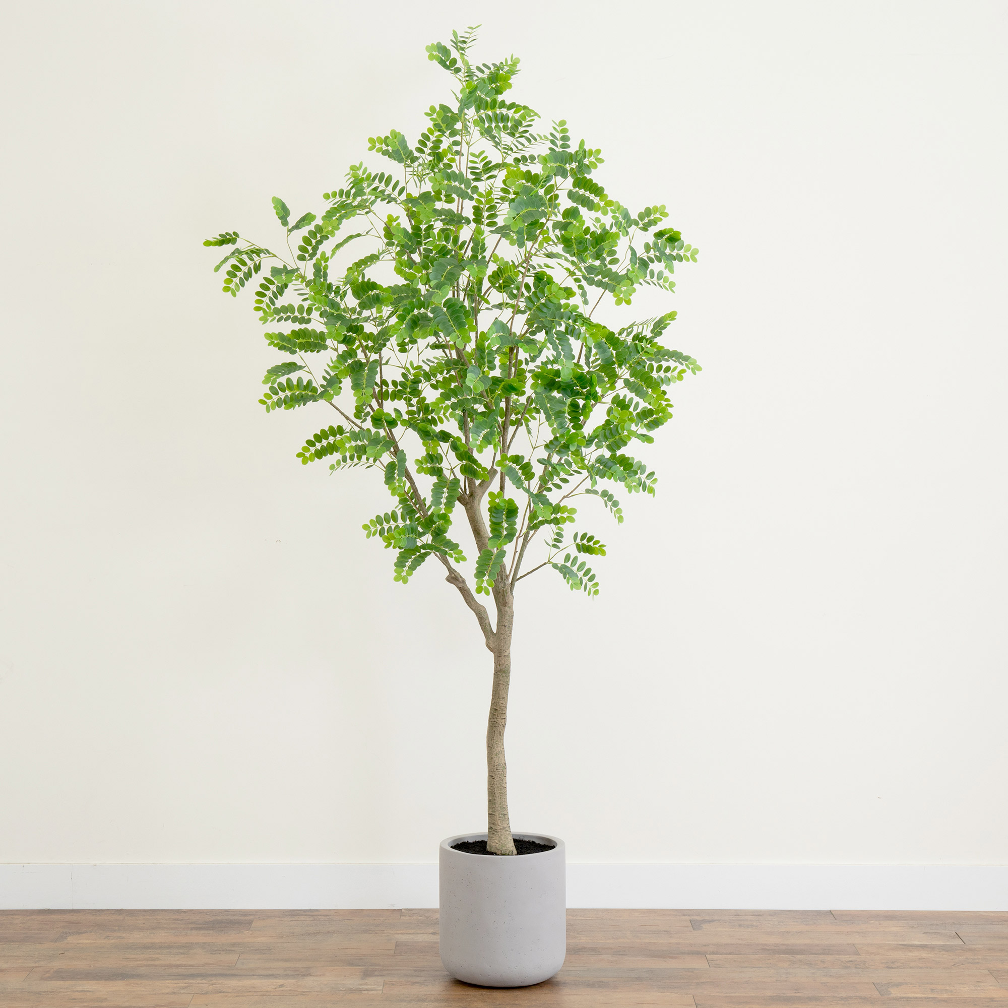 Enlarge Product Preview 7 Successfully Enriched by automation Job.