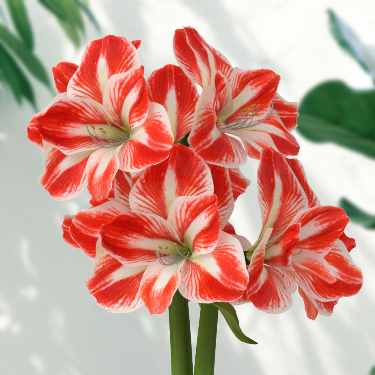 Enlarge Product Preview 2