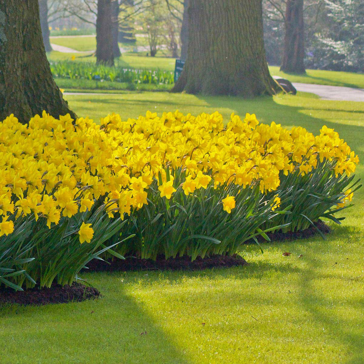 Enlarge Product Preview 2