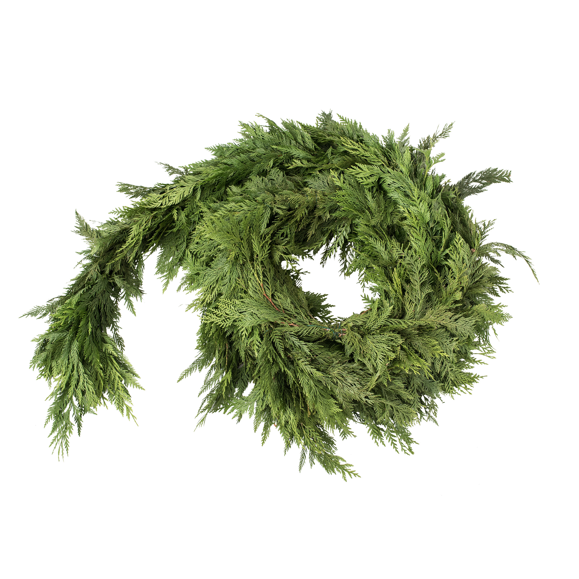 Enlarge Product Preview 2