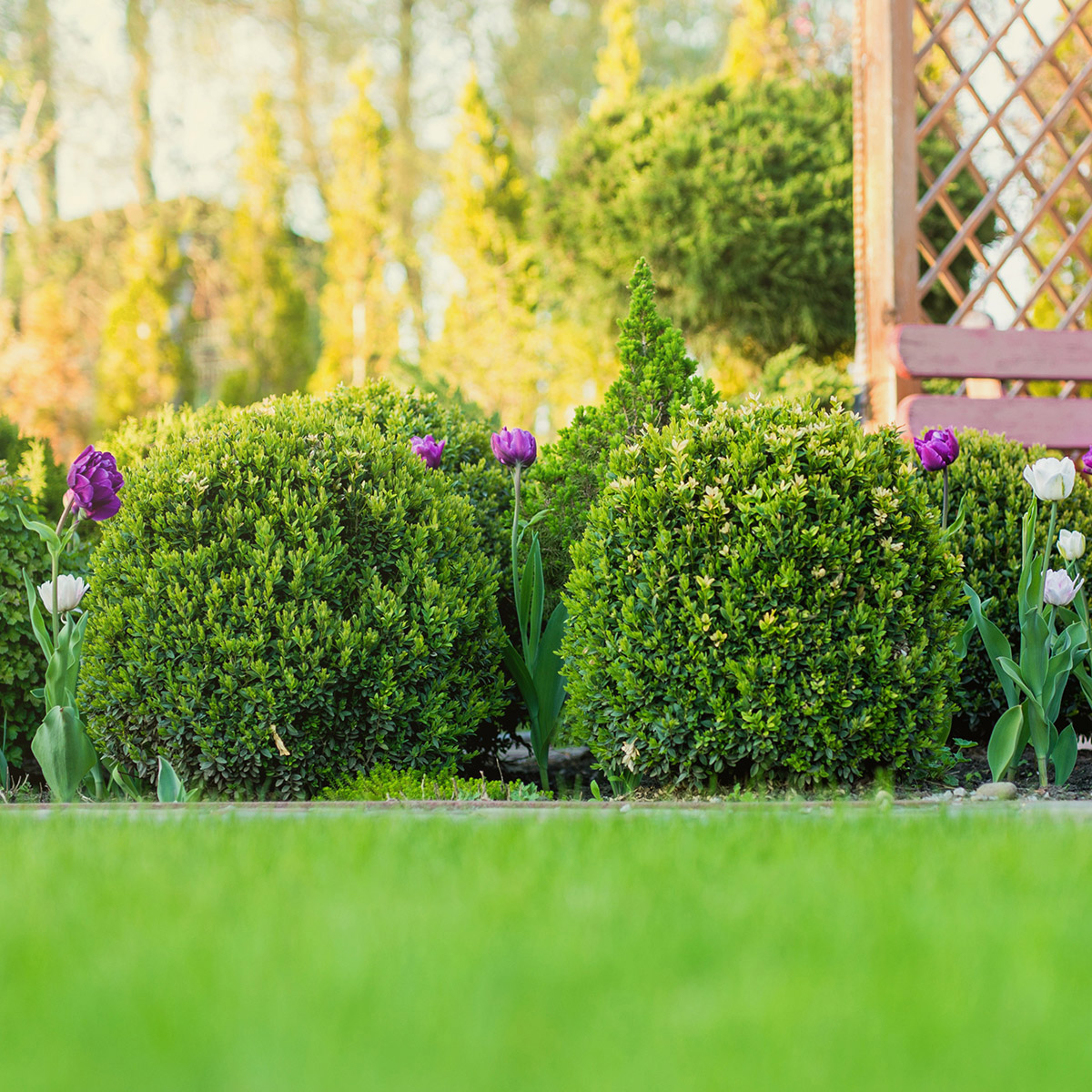 Enlarge Product Preview 5