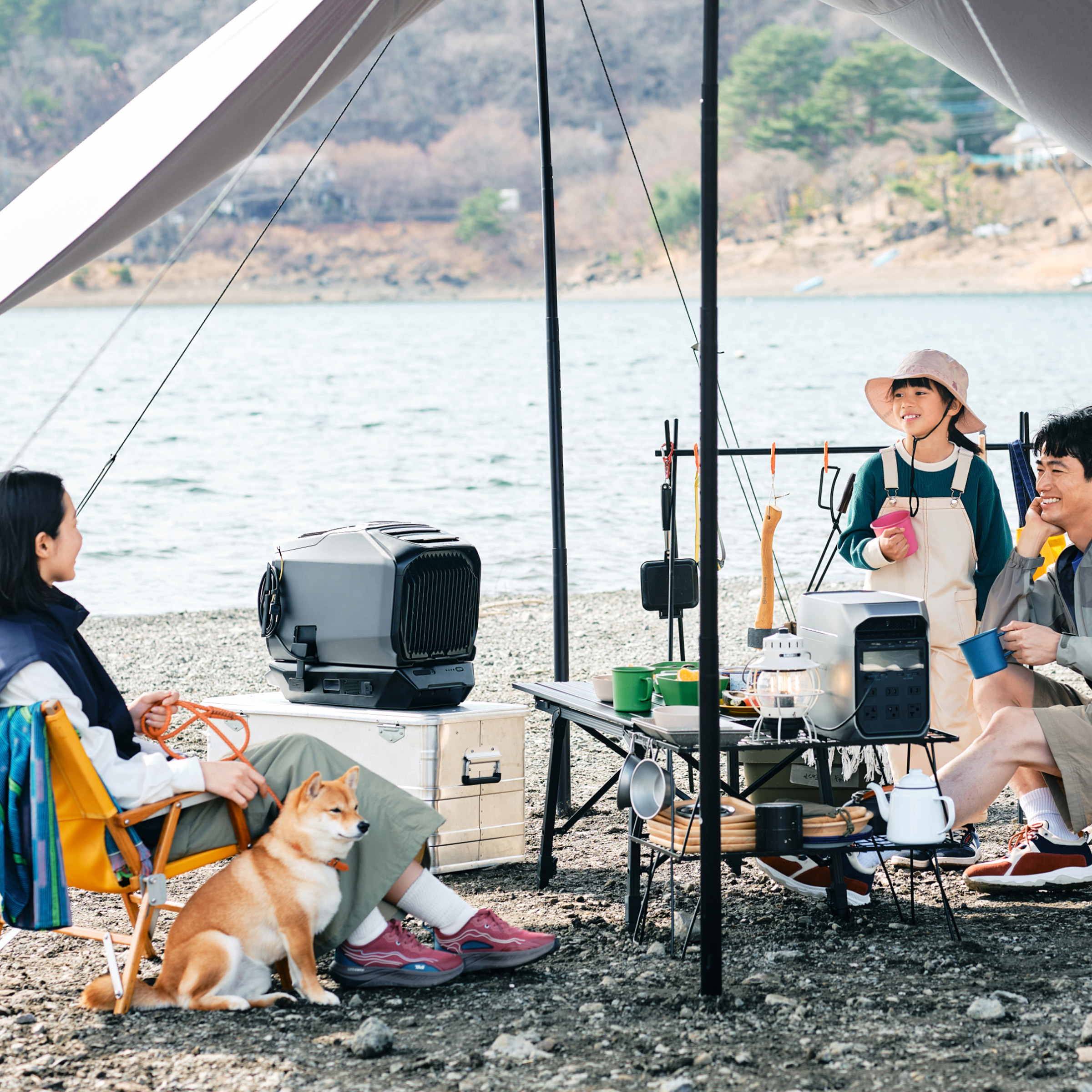 Enlarge Product Preview 4 Successfully Enriched by automation Job.