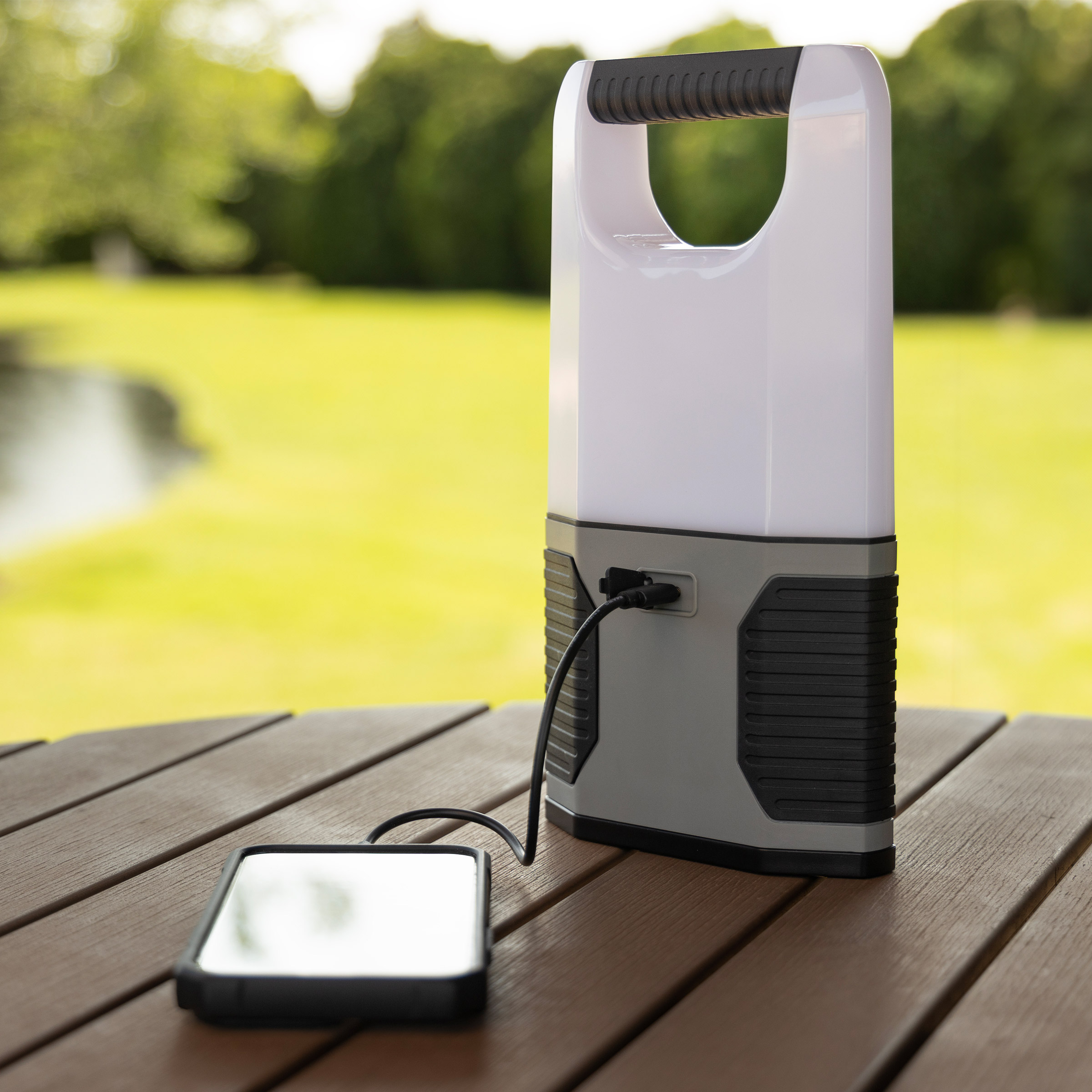 Enlarge Product Preview 6 Successfully Enriched by automation Job.