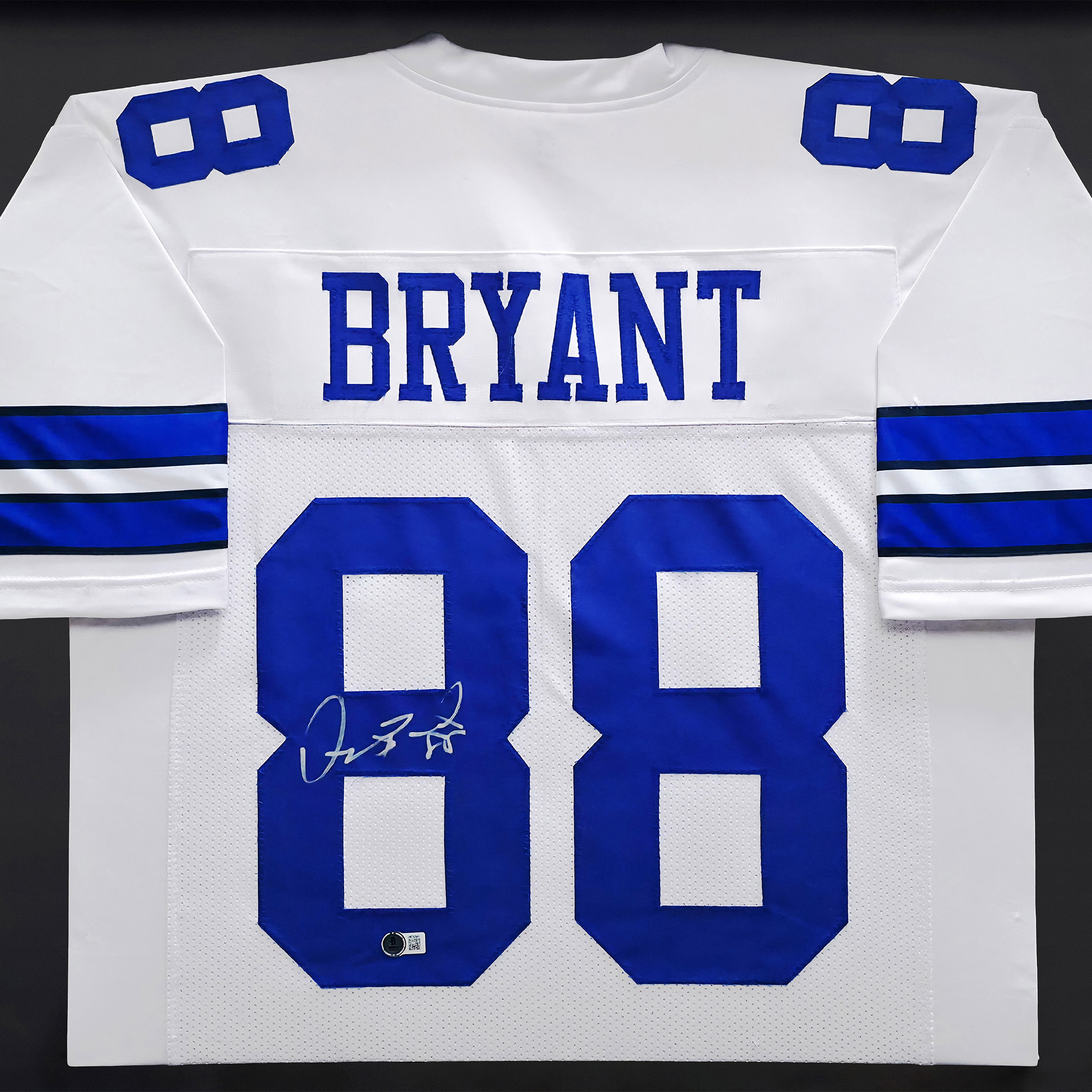 Enlarge Product Preview 2 Successfully Enriched by automation Job.