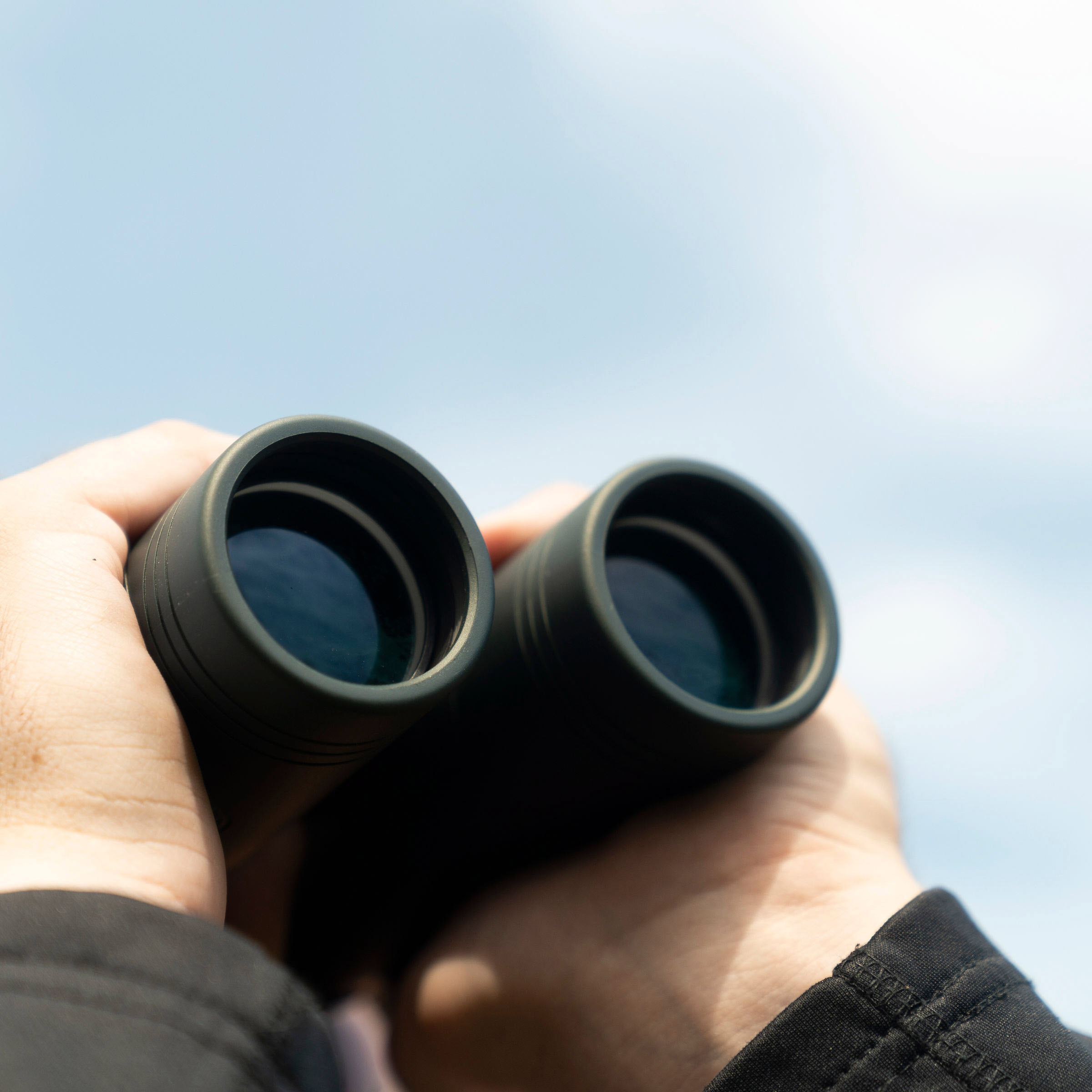 Enlarge Product Preview 5 Successfully Enriched by automation Job.