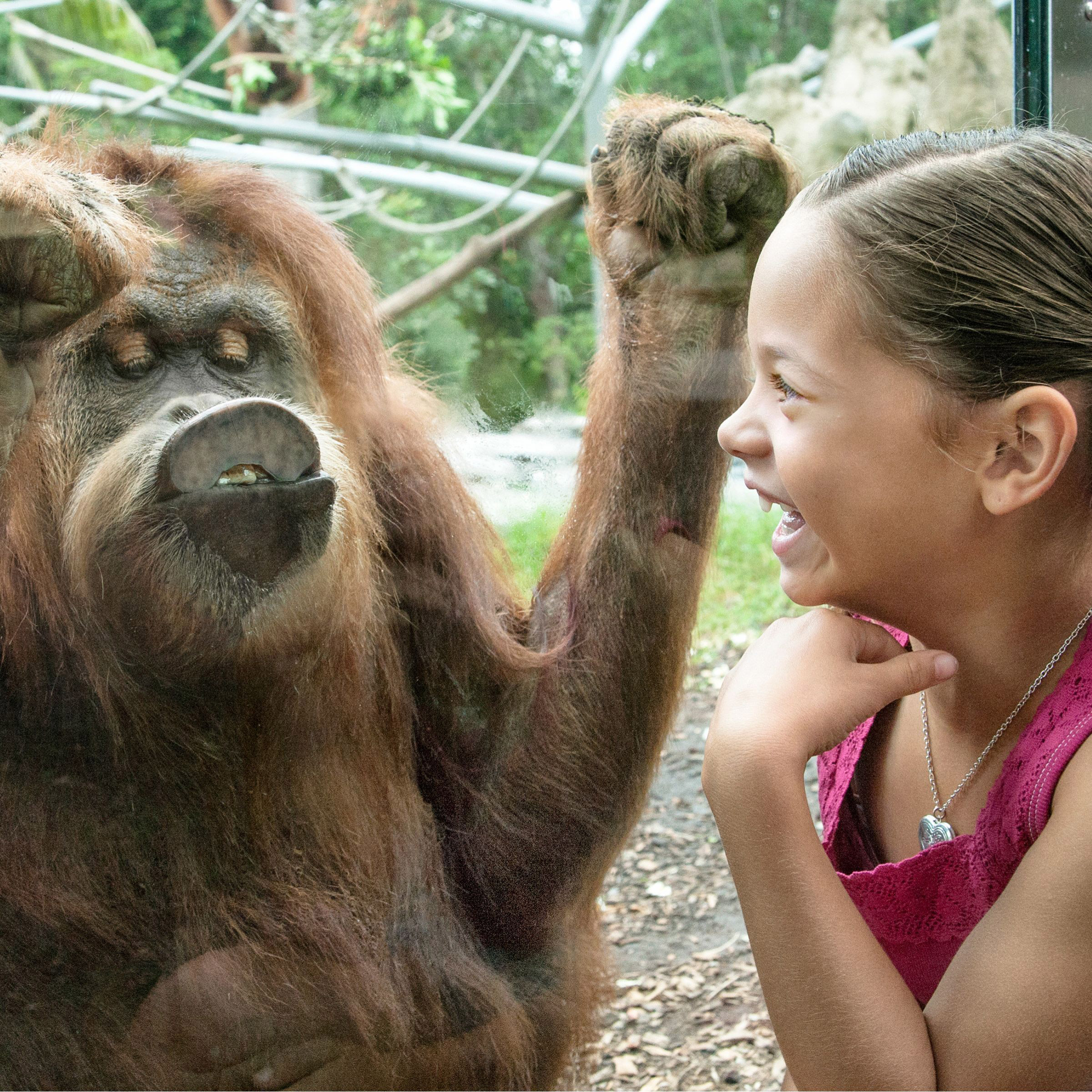 Enlarge Product Preview 5 Successfully Enriched by automation Job.