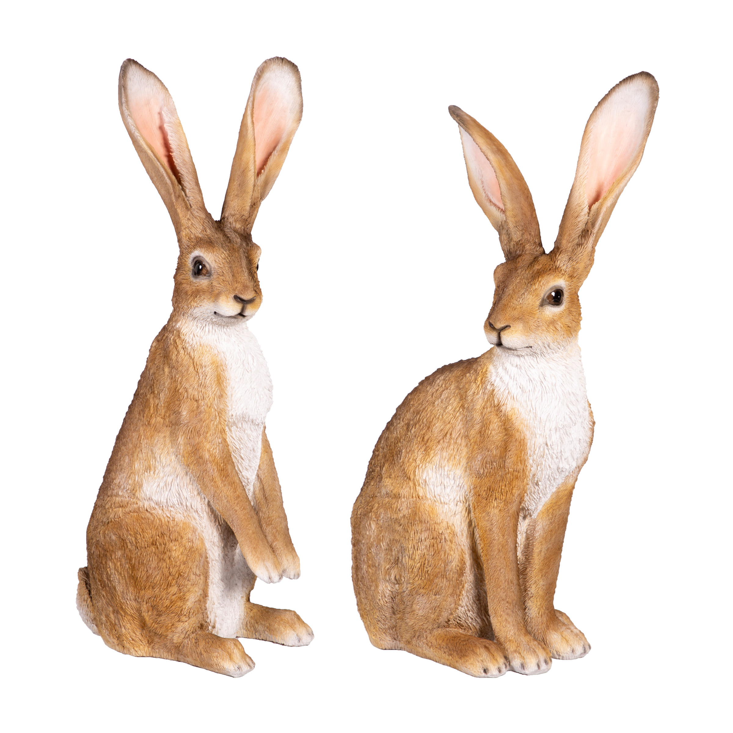 Enlarge Product Preview 4 Successfully Enriched by automation Job.