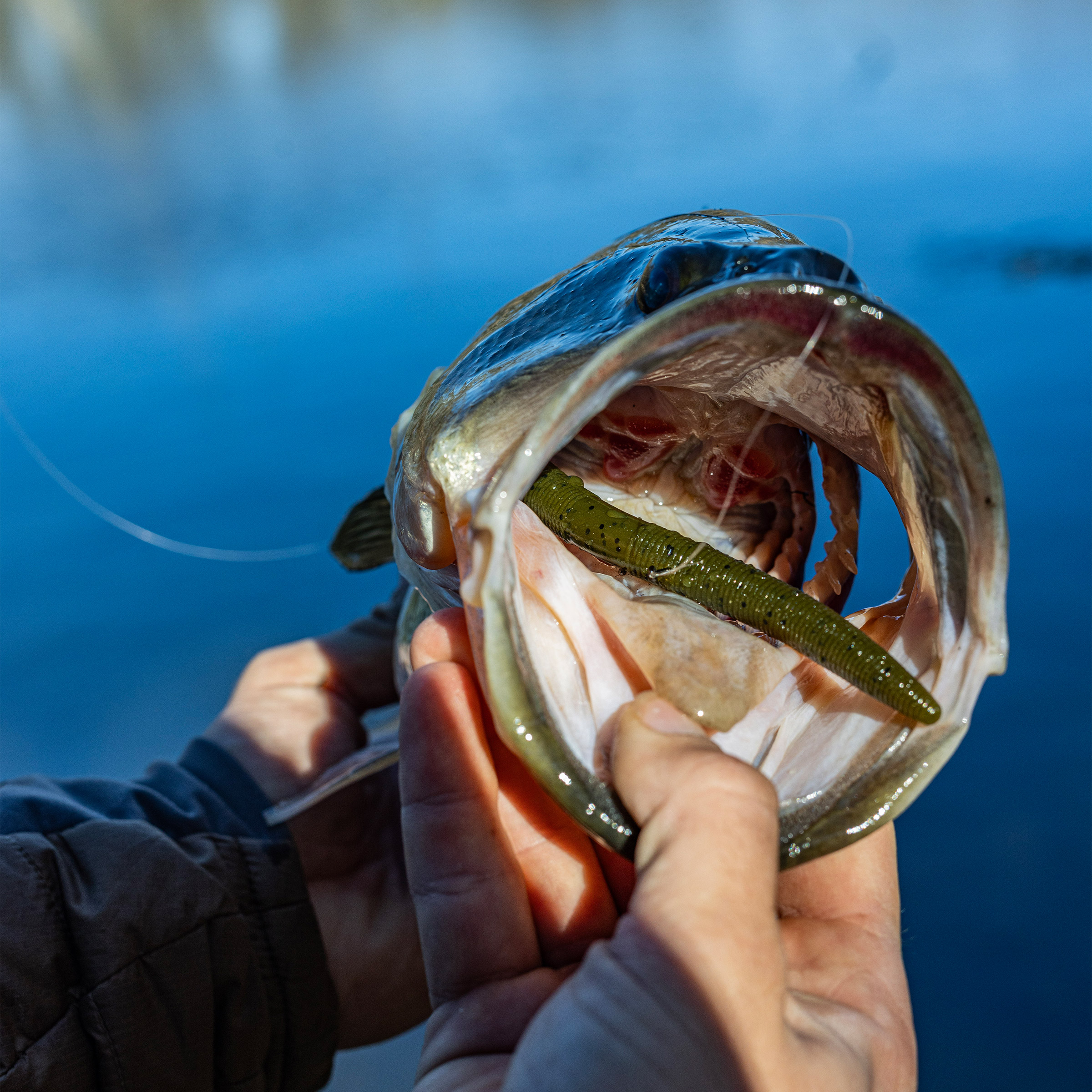 deep sea fishing lures How To Choose The Best Saltwater Fishing Lures"  CAVY FISHING