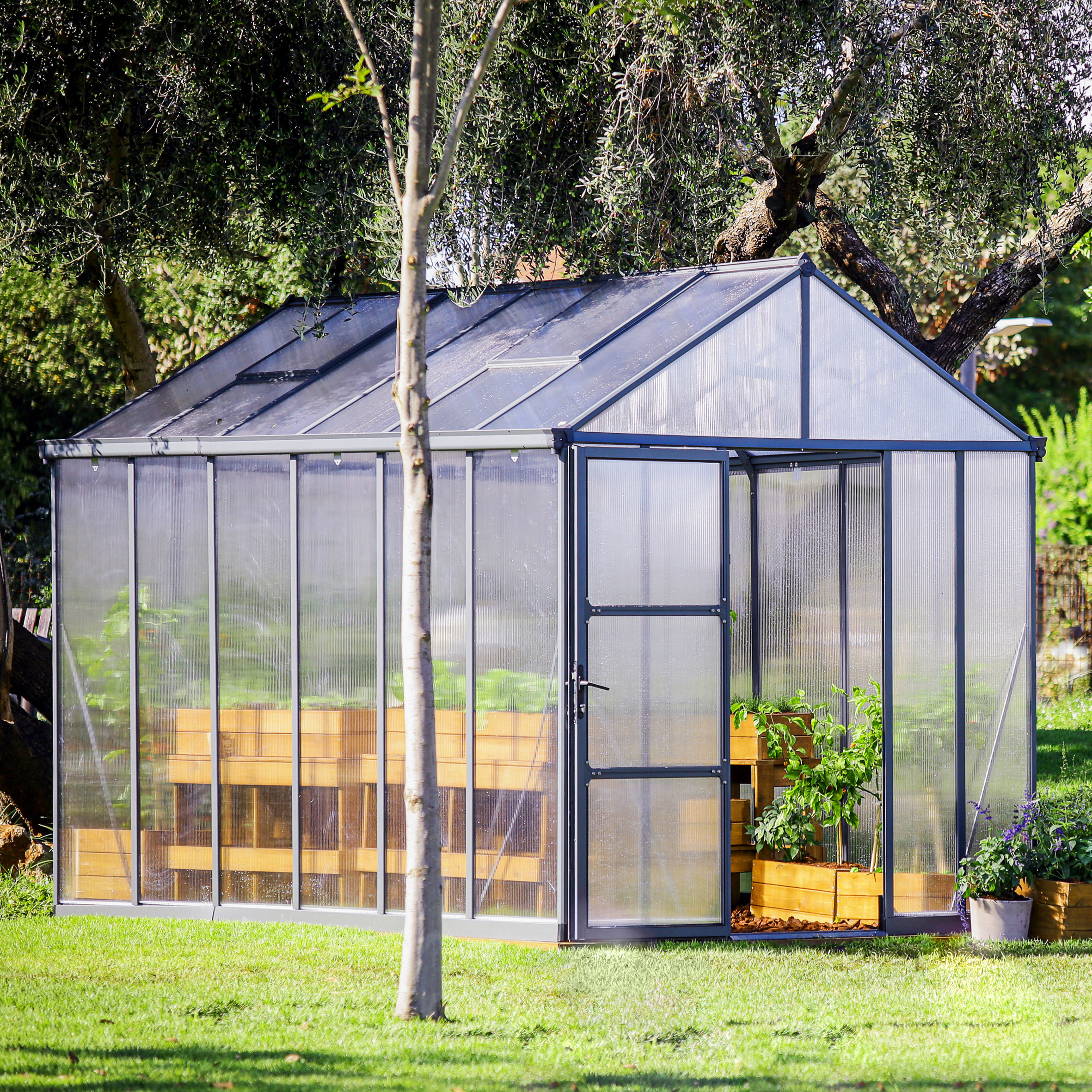 Canopia by Palram Glory Premium Greenhouse