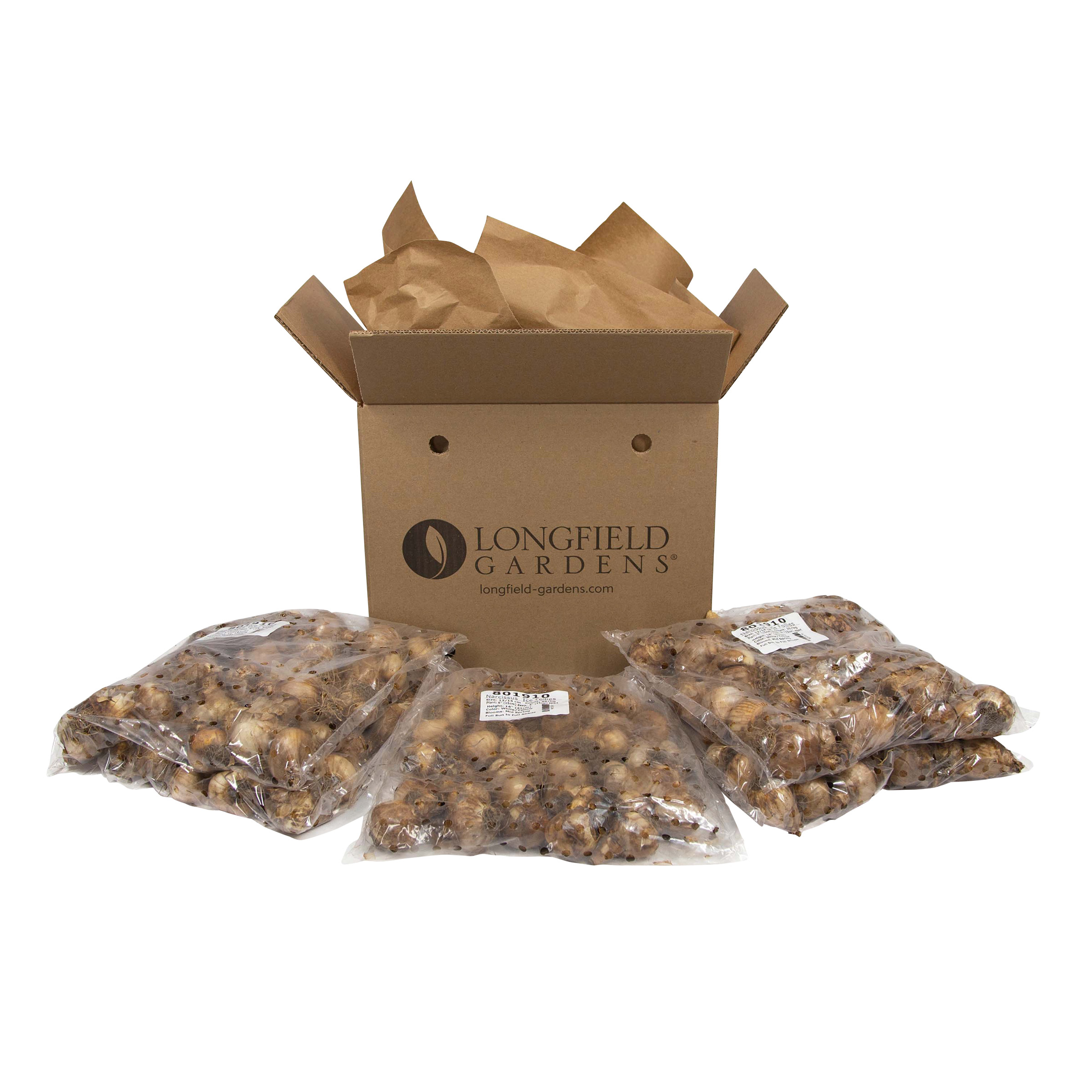 Enlarge Product Preview 7