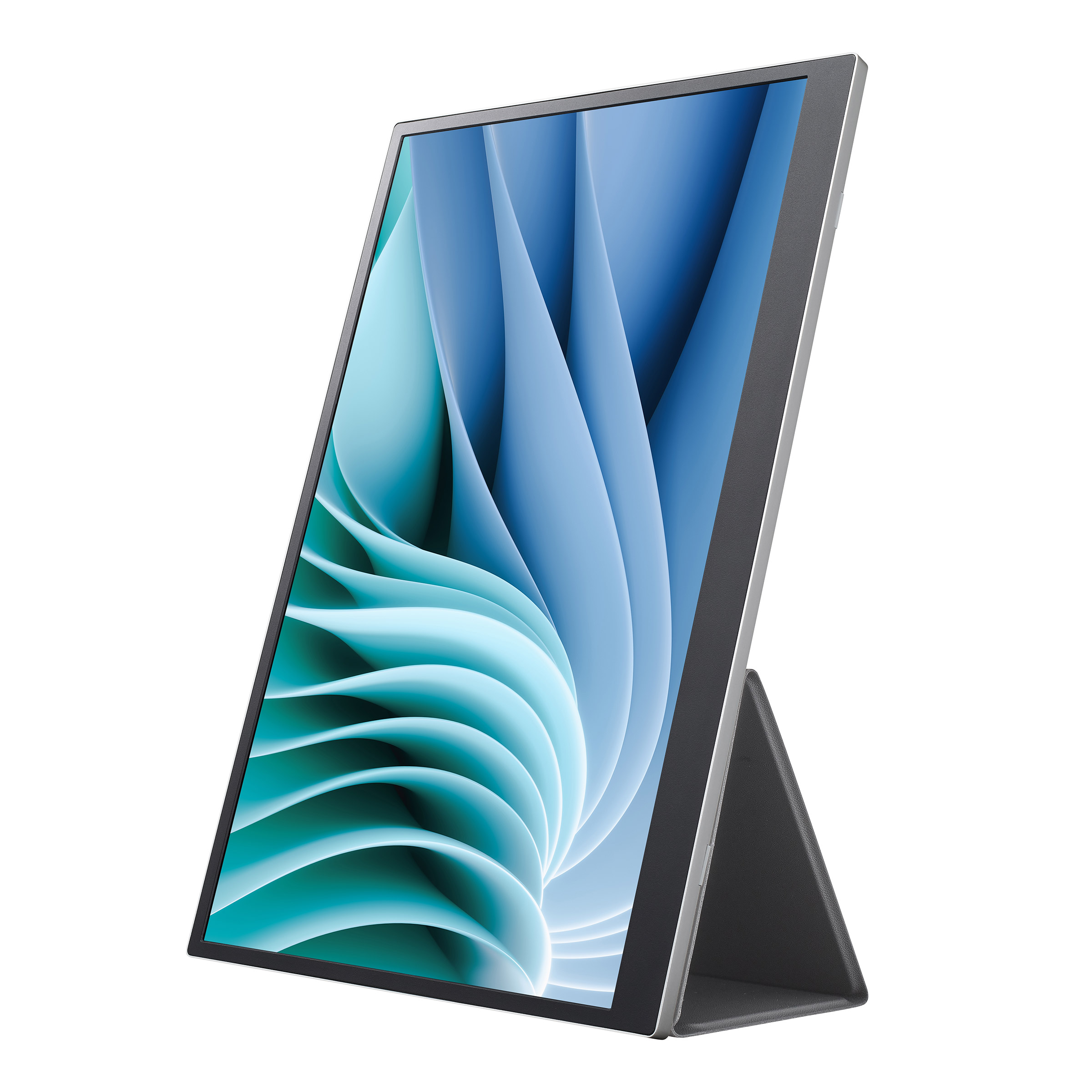 LG gram +view 16-in. Portable WQXGA Monitor (2560 x 1600) | Costco
