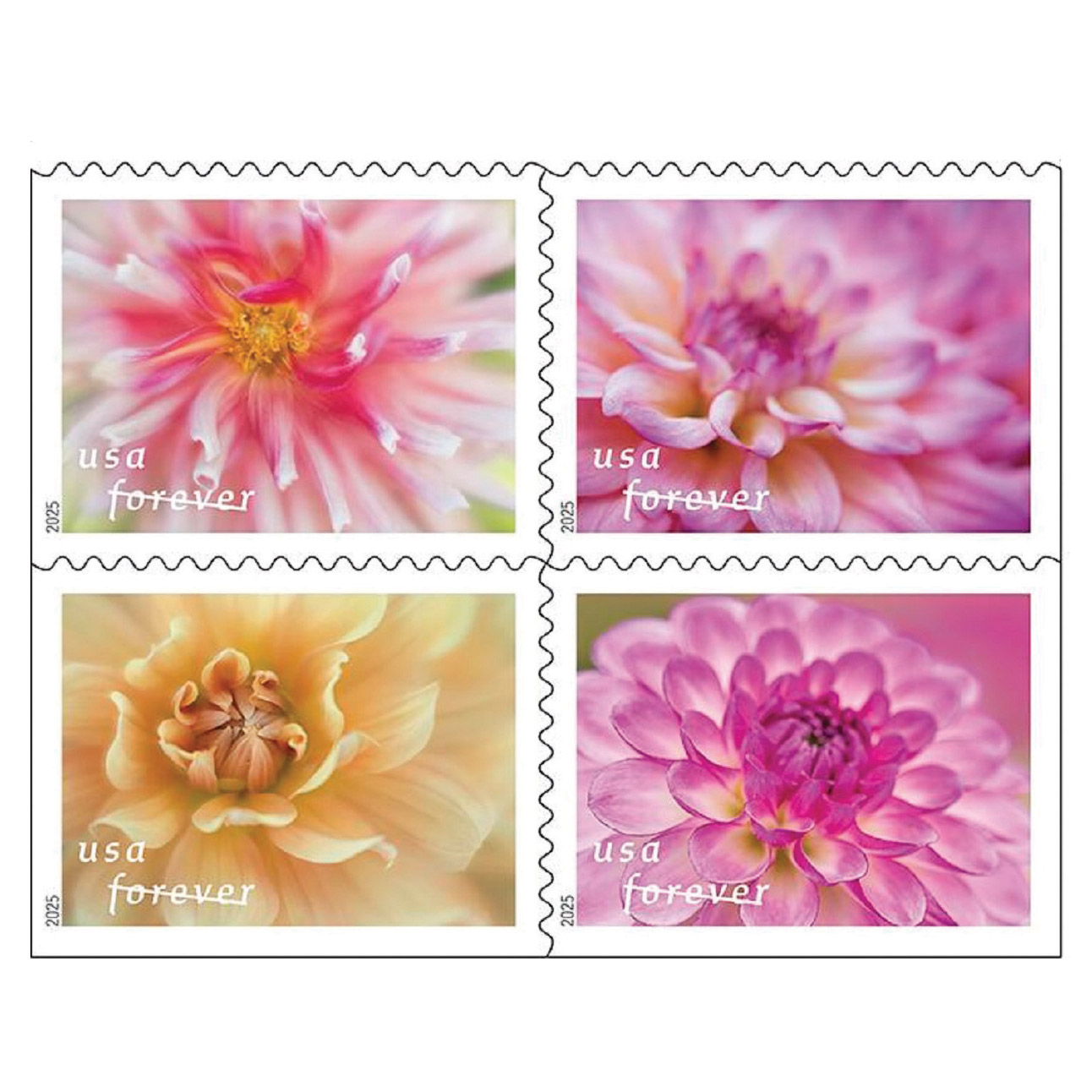 USPS First-Class Garden Delight Forever Stamps, 100 Count